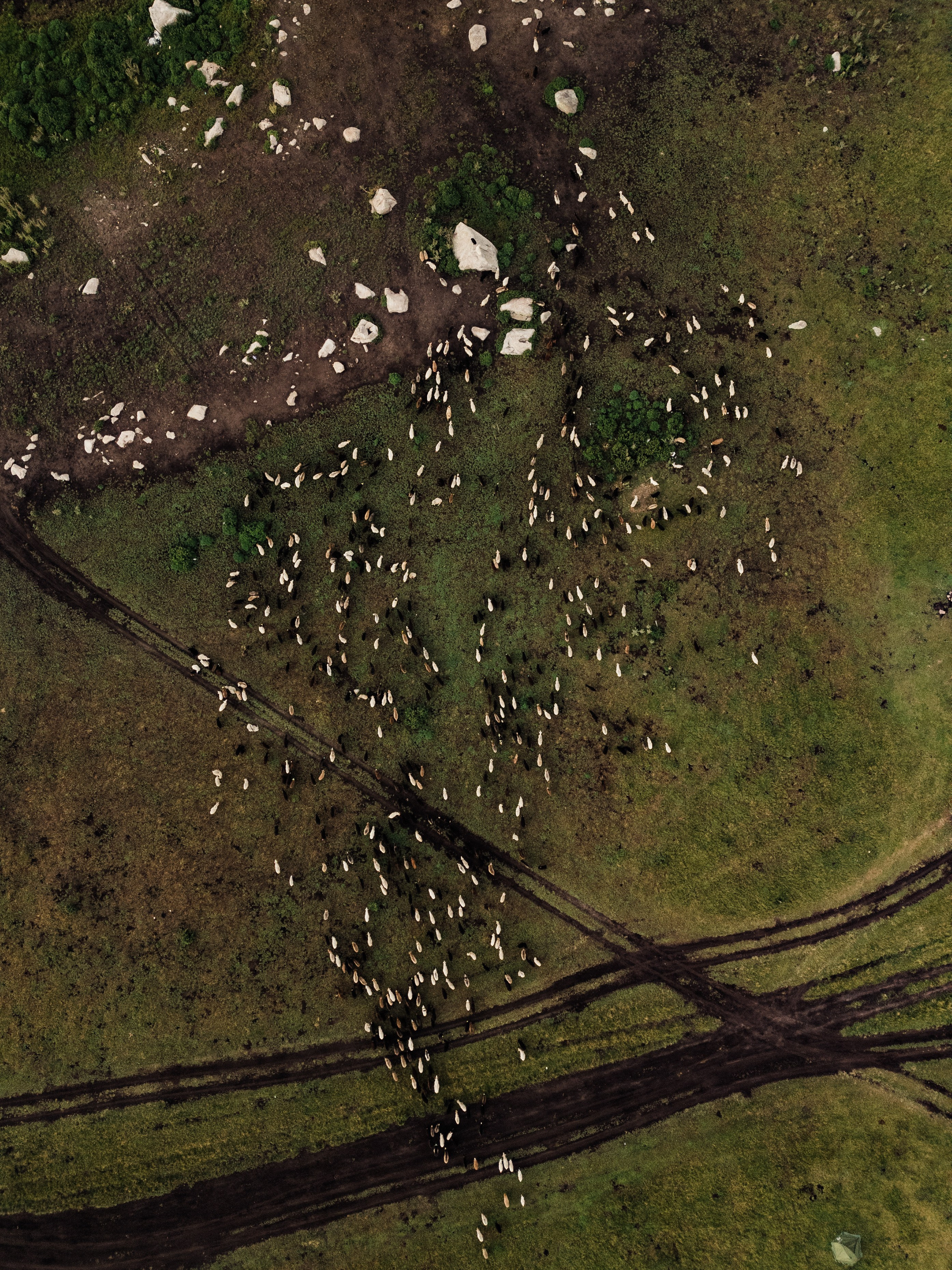 Фотограф в Астрахани Радмир Баймухамедов