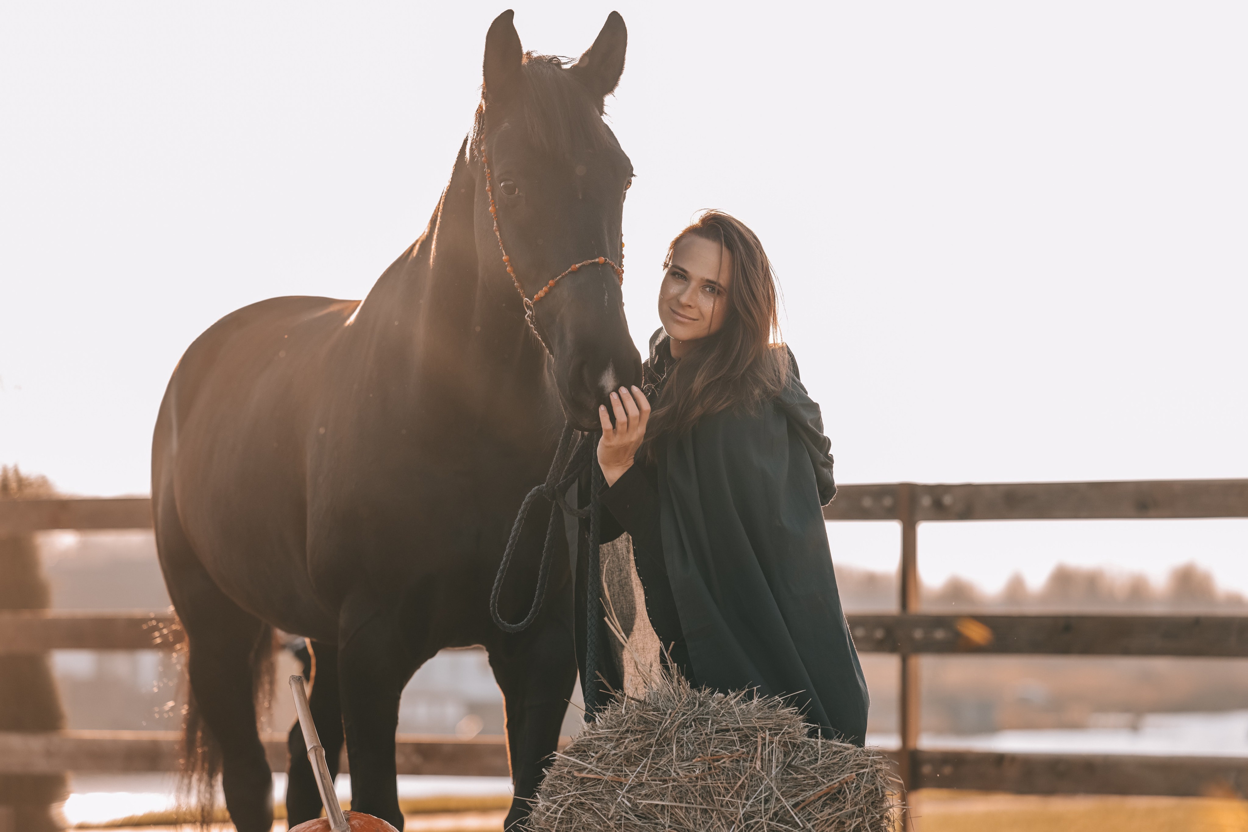 КСК Ждановское фотосессия. Фотосессии с лошадьми