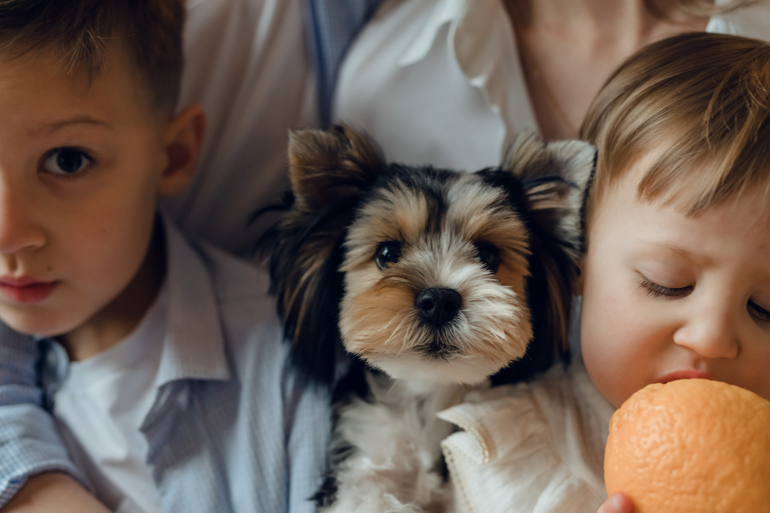 Коля&Юля&Егор&Соня. Ярослава Осетрова фотограф — Мск