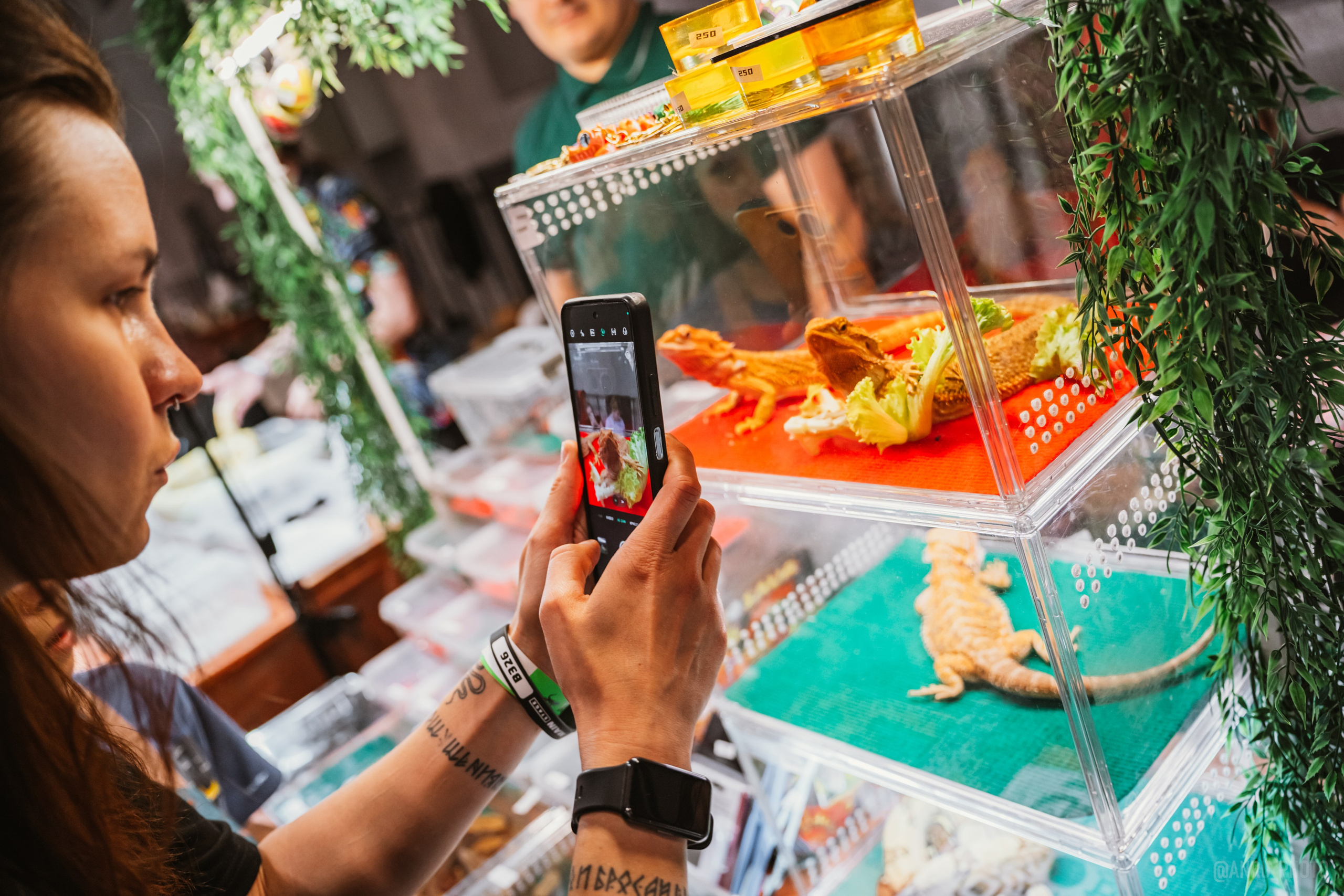 Рептилиум. Репортажный фотограф Анастасия Рубцова