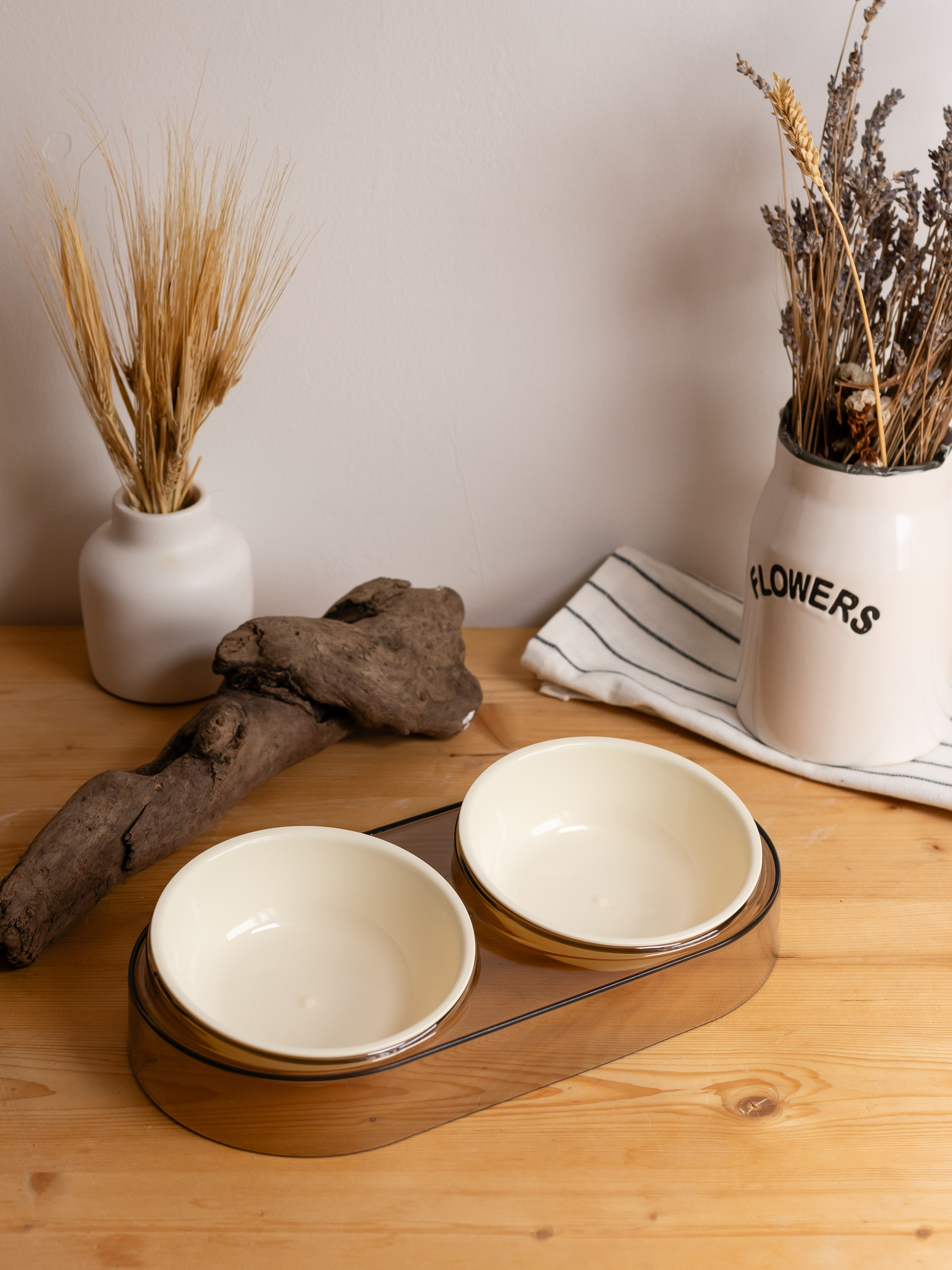 Миска для собаки. Фотограф в Краснодаре Арина Кудряшова