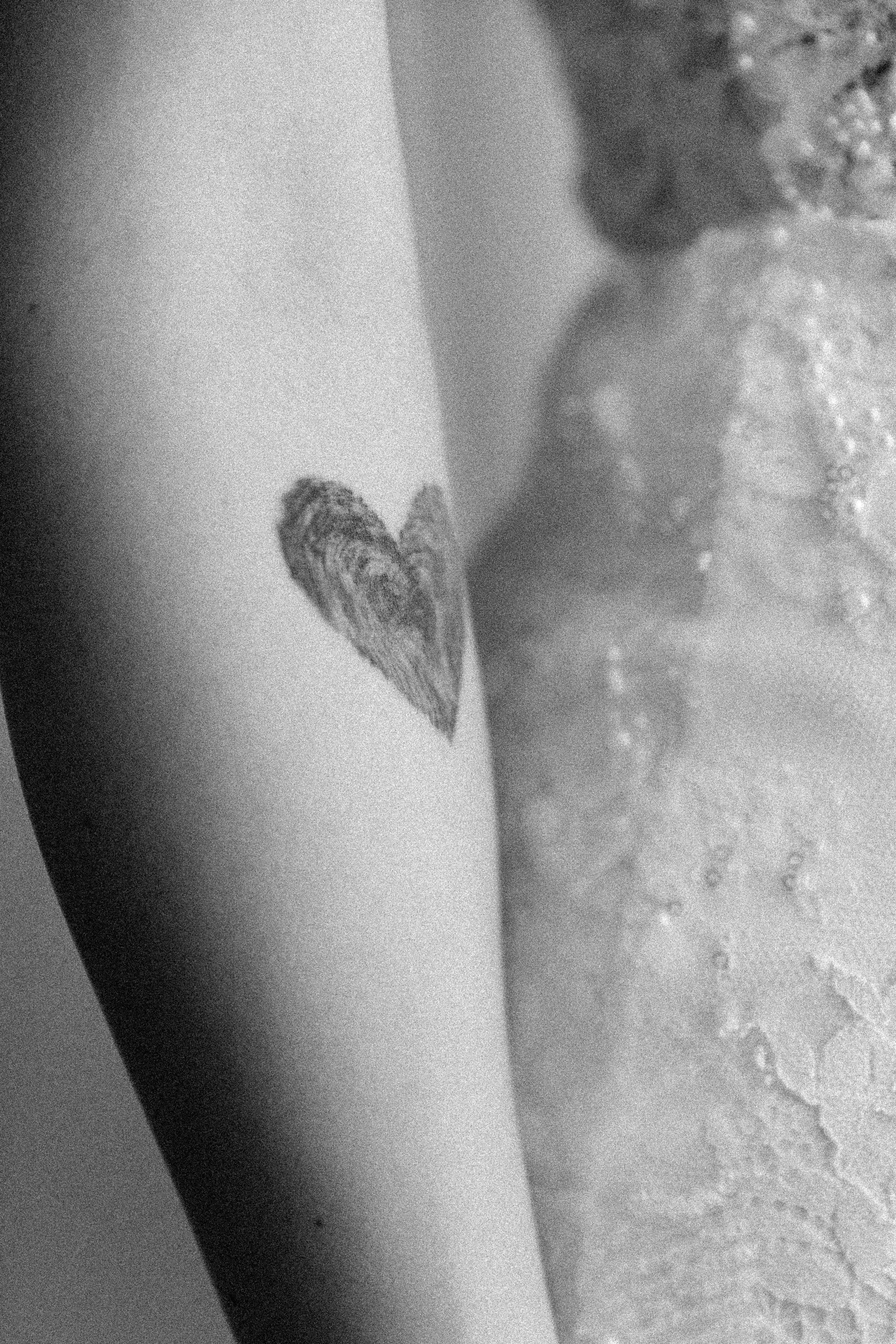 Тагир и Кристина. Свадебный фотограф