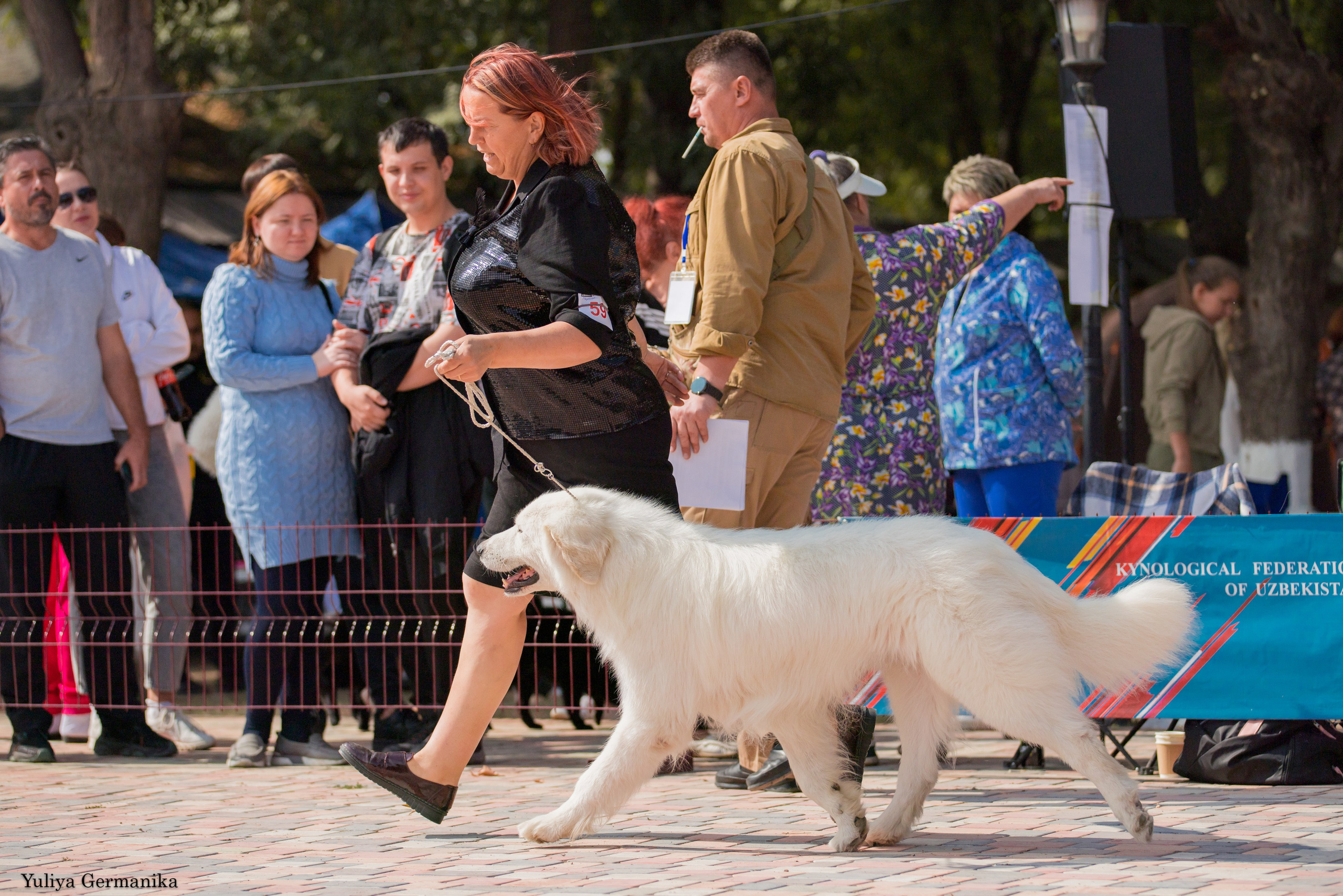 Ташкент 6-8.10.2023 + Алматы 14-15.10.2023. Фотограф-анималист Юлия Германика