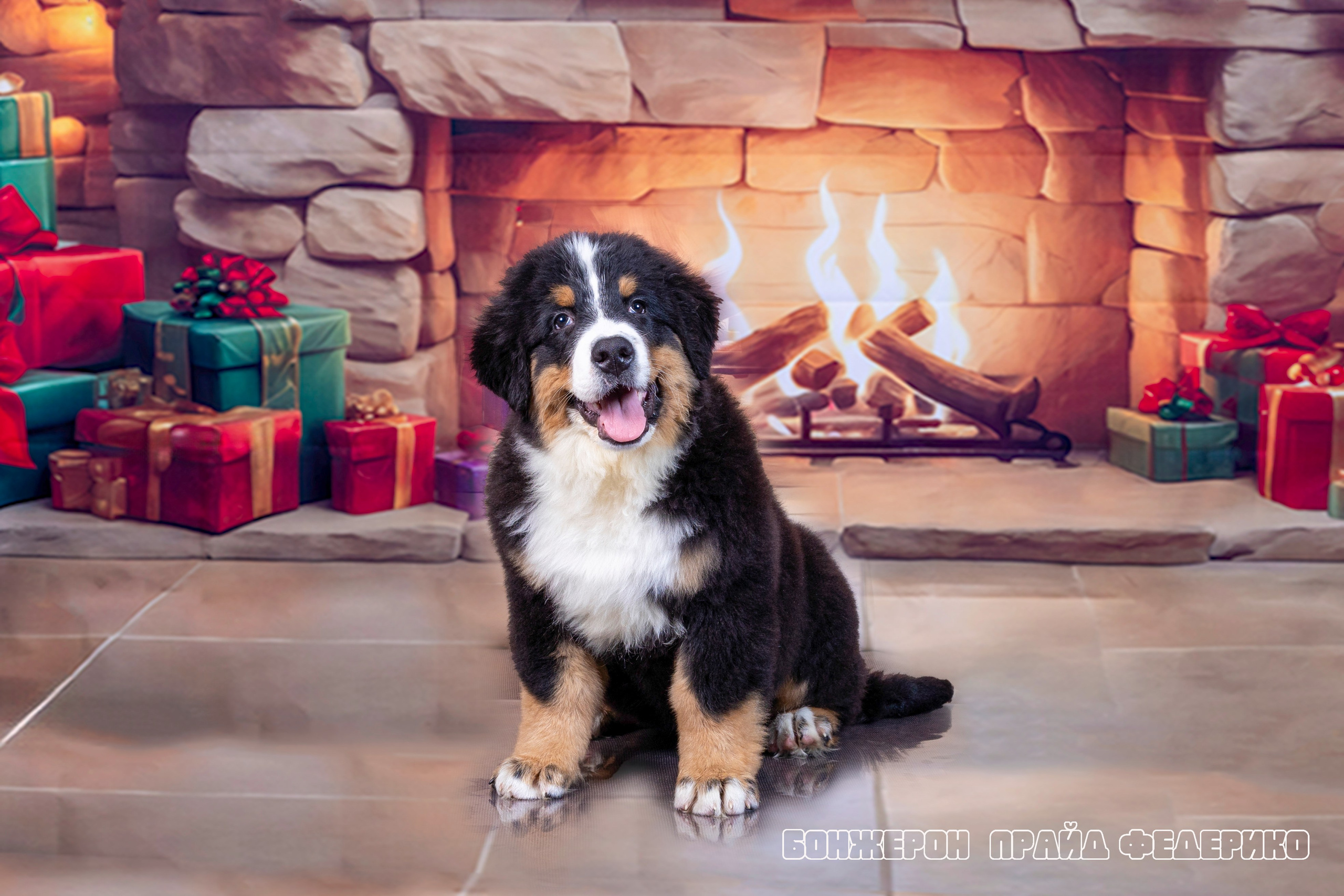 Бонжерон прайд. Фотограф 📸 семейный, предметный, репортажный