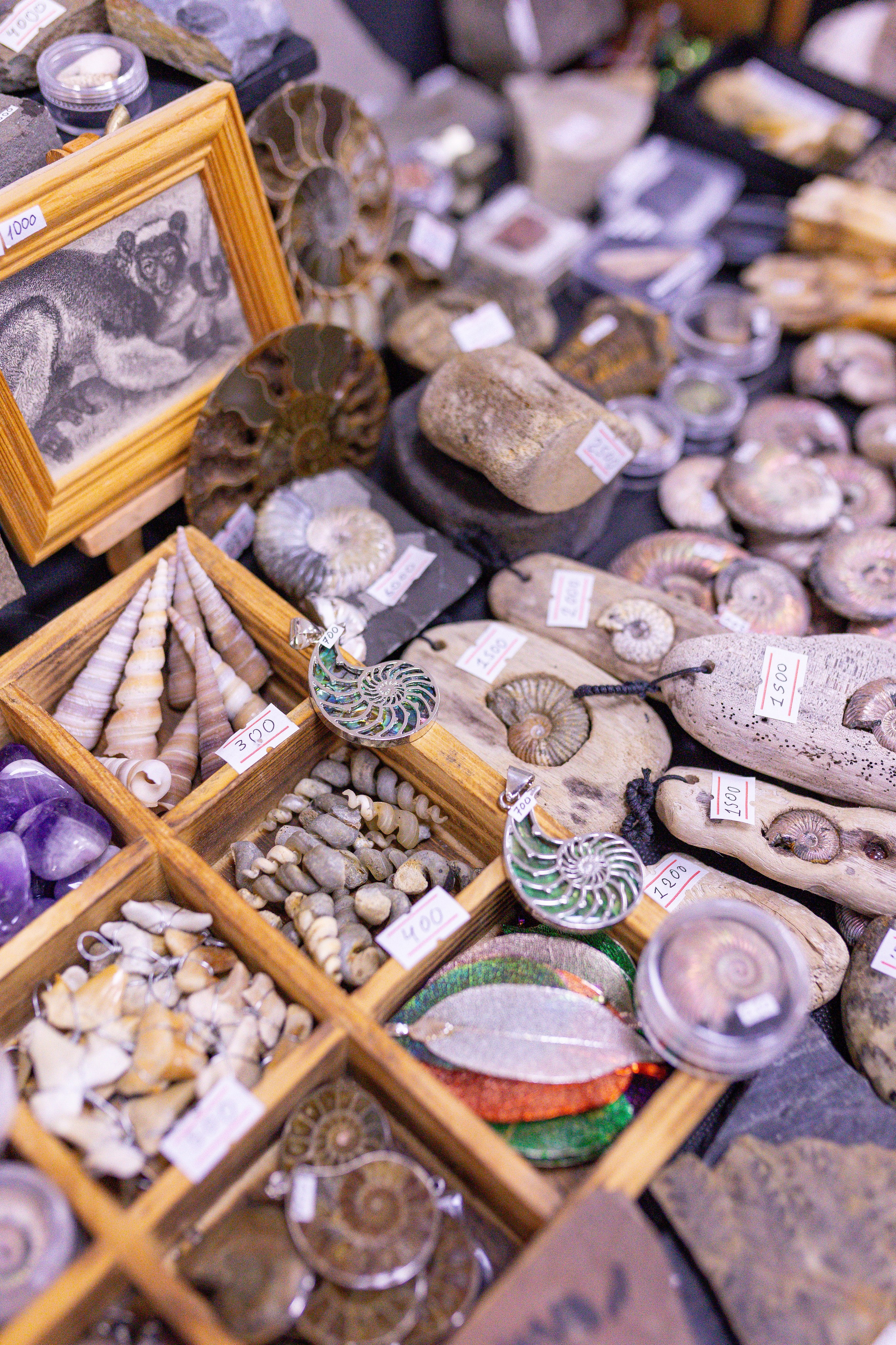 Монстериум 11–12 октября. Александра Куликова фотограф, Москва