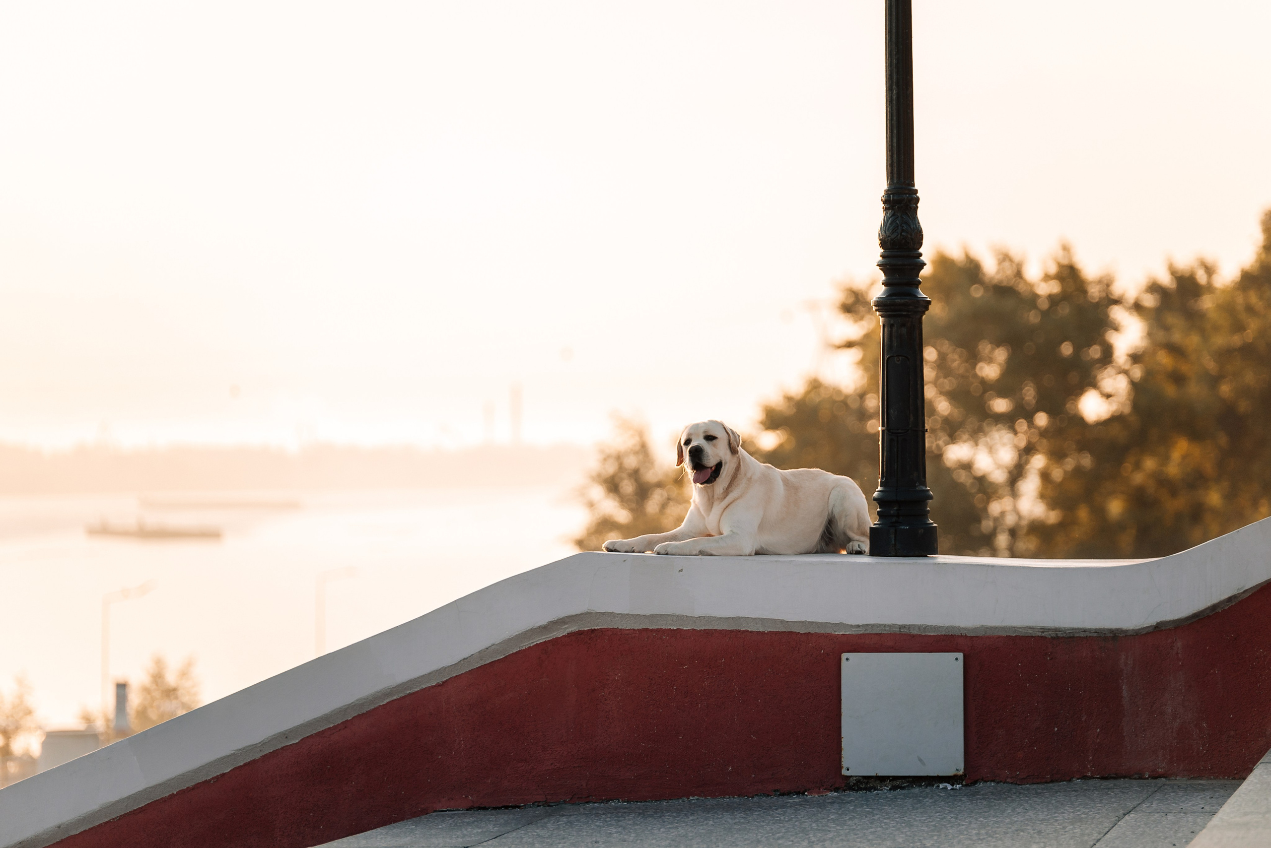 Екатерина, Урал и Бест. Фотограф-анималист Анастасия Парфенова|Екатеринбург