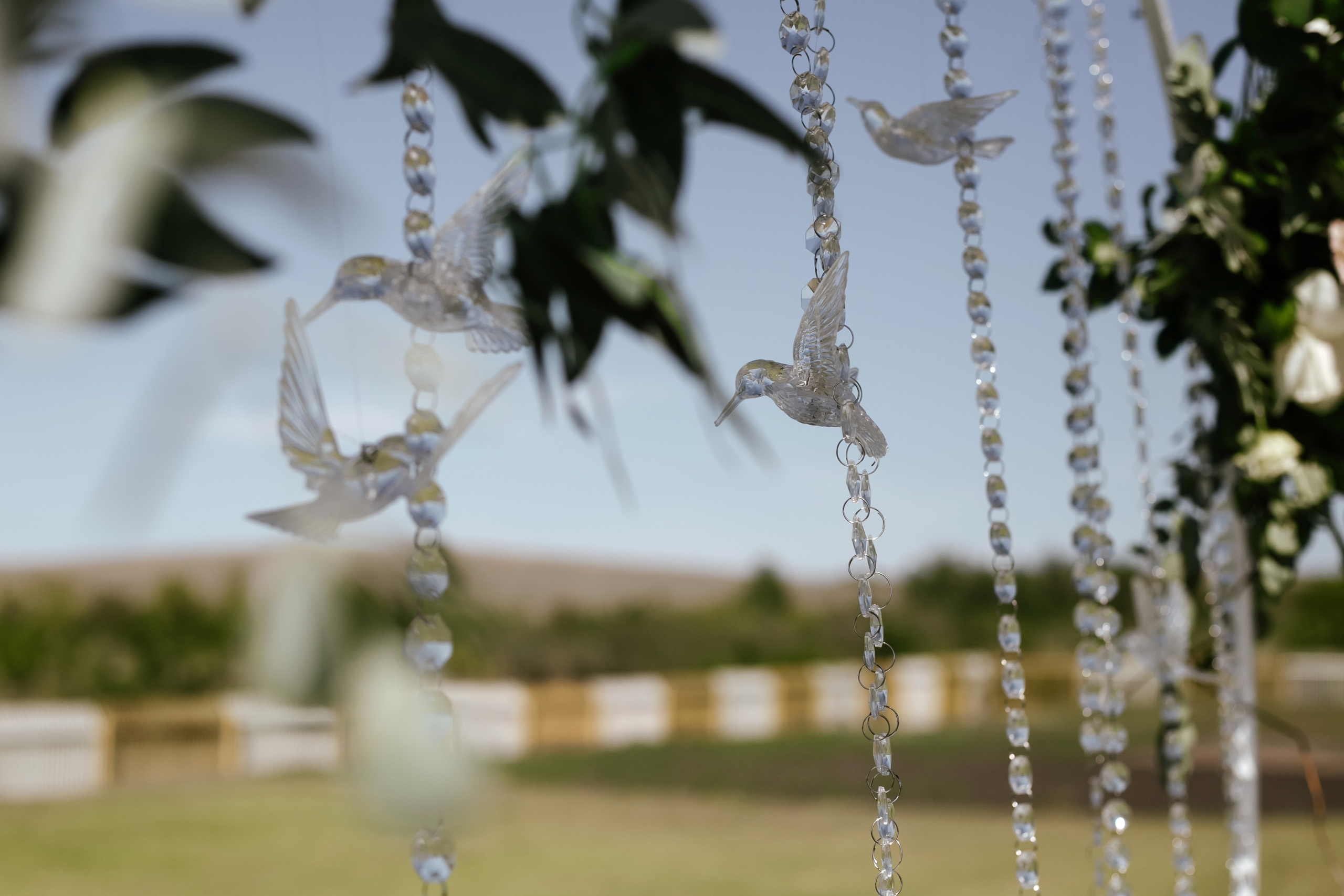 Андрей и Анастасия. Фотограф Москва, Санкт-Петербург, Абакан