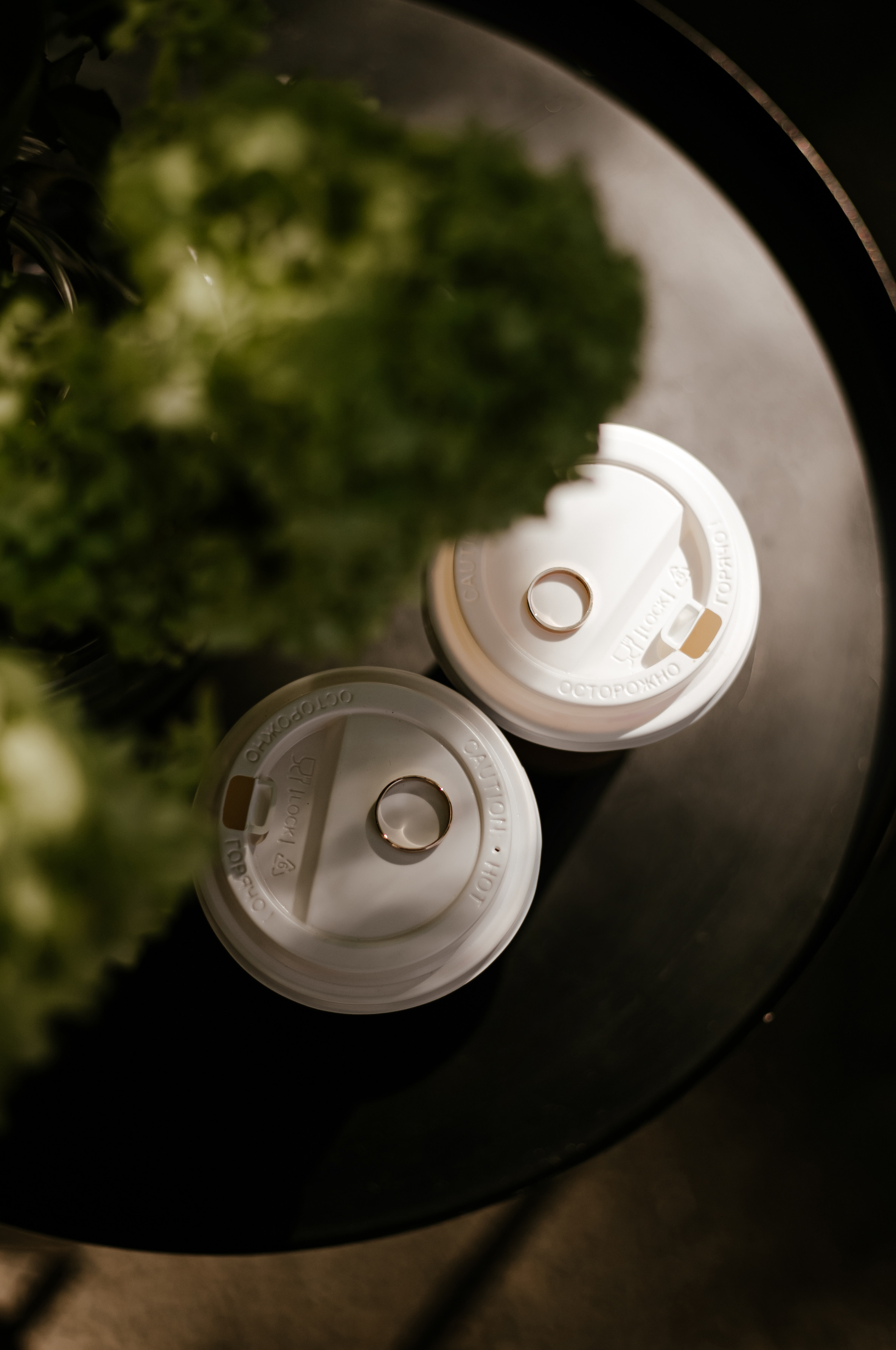 Андрей и Анастасия. Фотограф Москва, Санкт-Петербург, Абакан