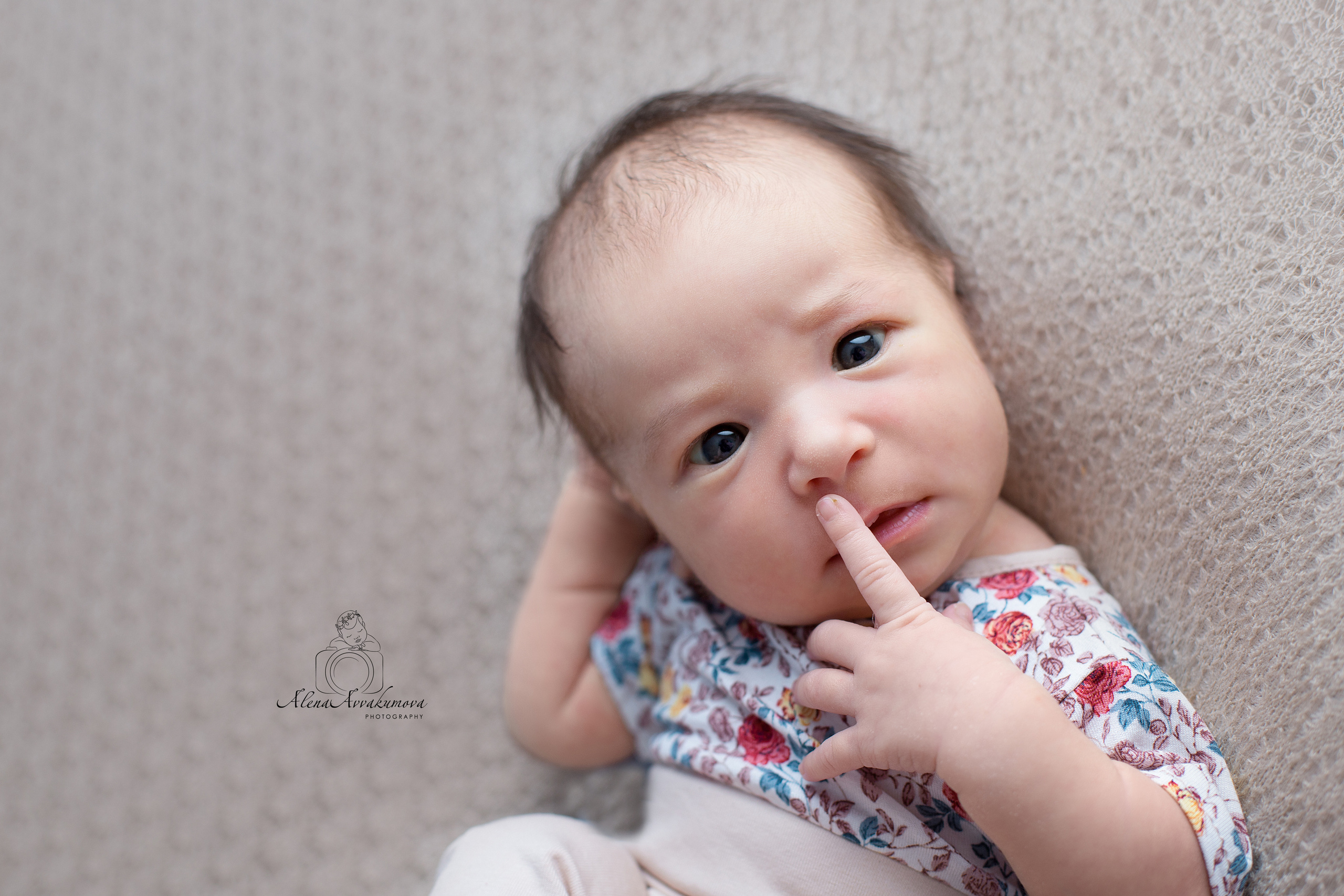 Новорожденные. Фотограф новорожденных в Губкинском Алена Аввакумова