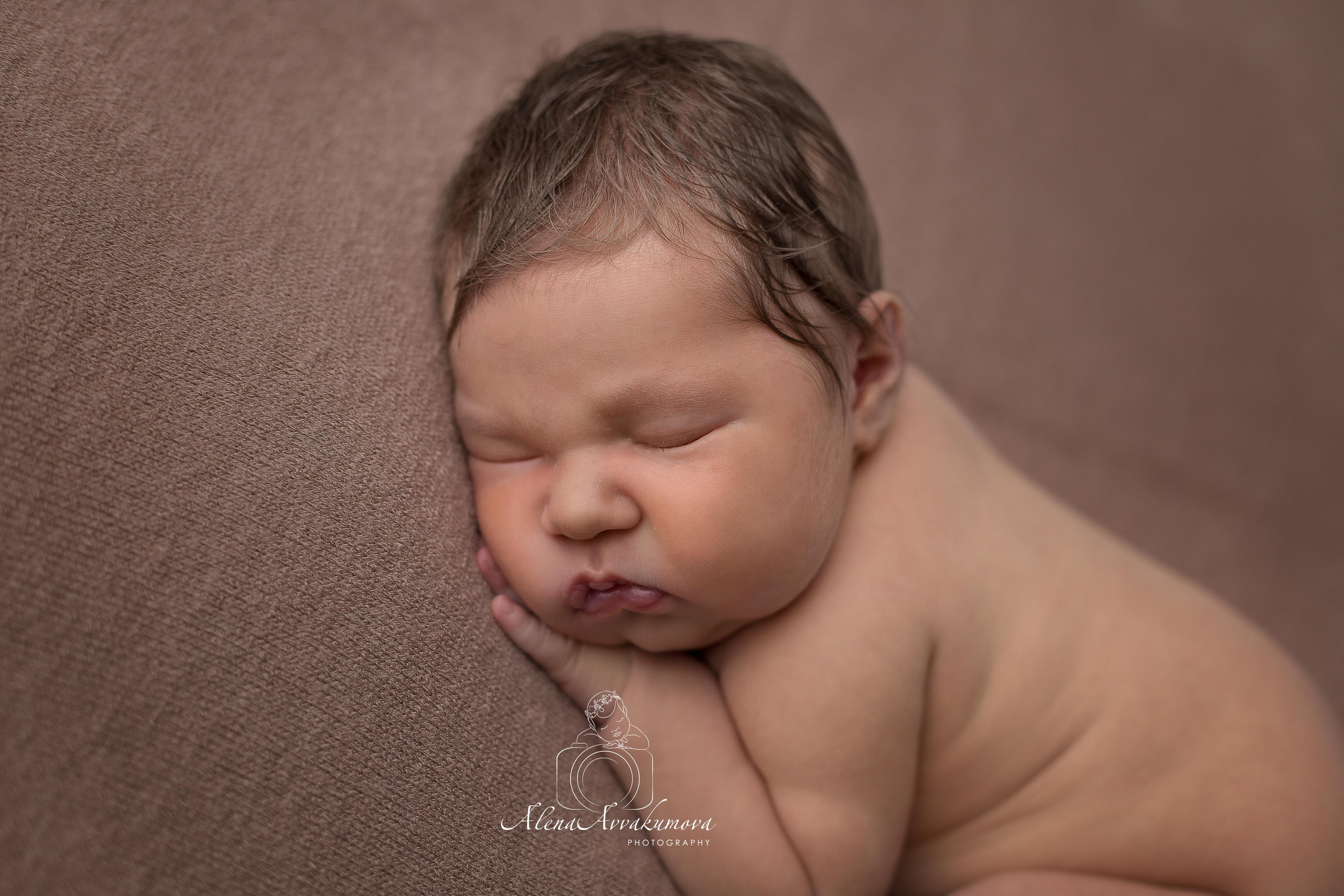 Новорожденные. Фотограф новорожденных в Губкинском Алена Аввакумова