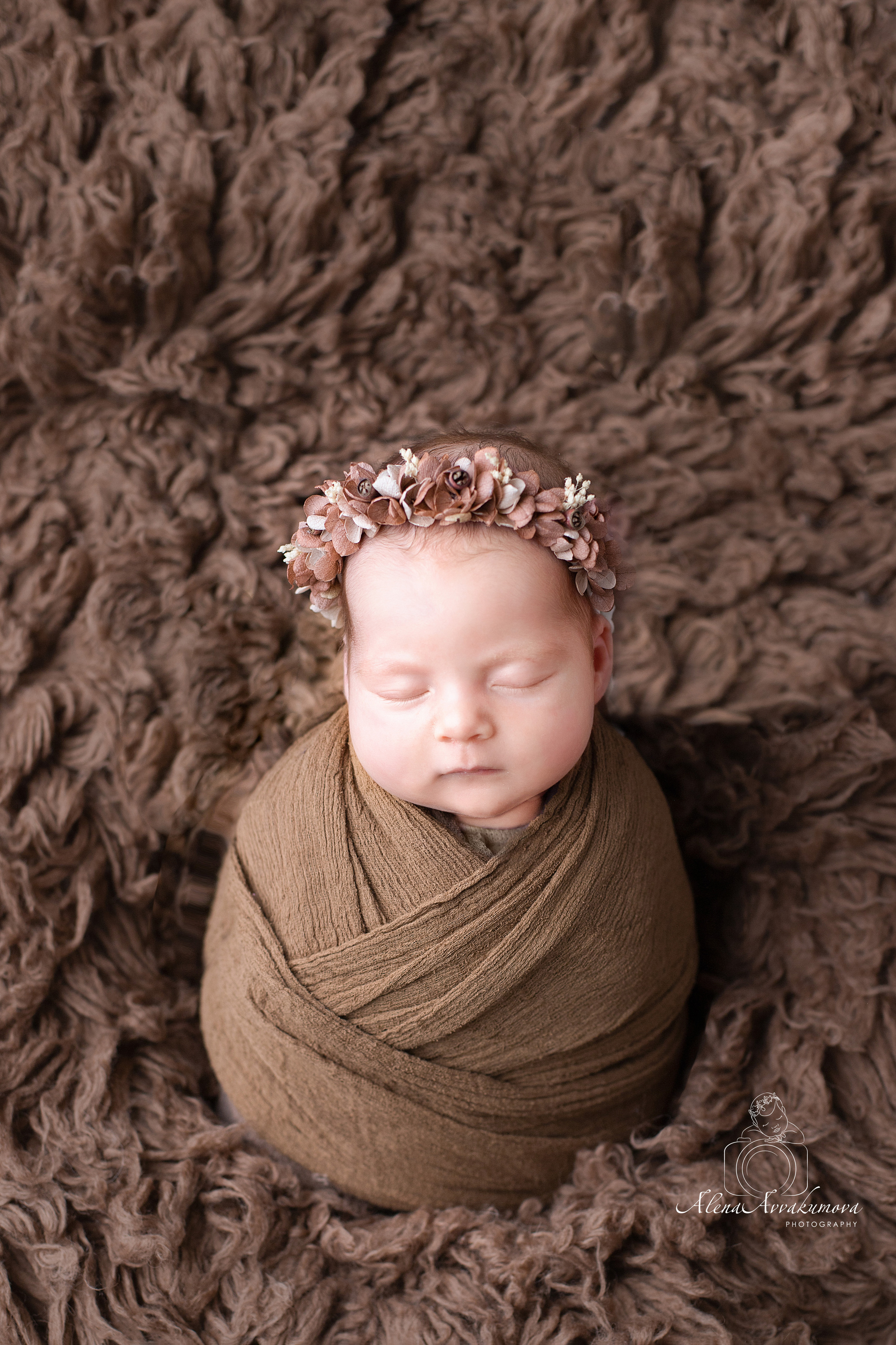 Новорожденные. Фотограф новорожденных в Губкинском Алена Аввакумова