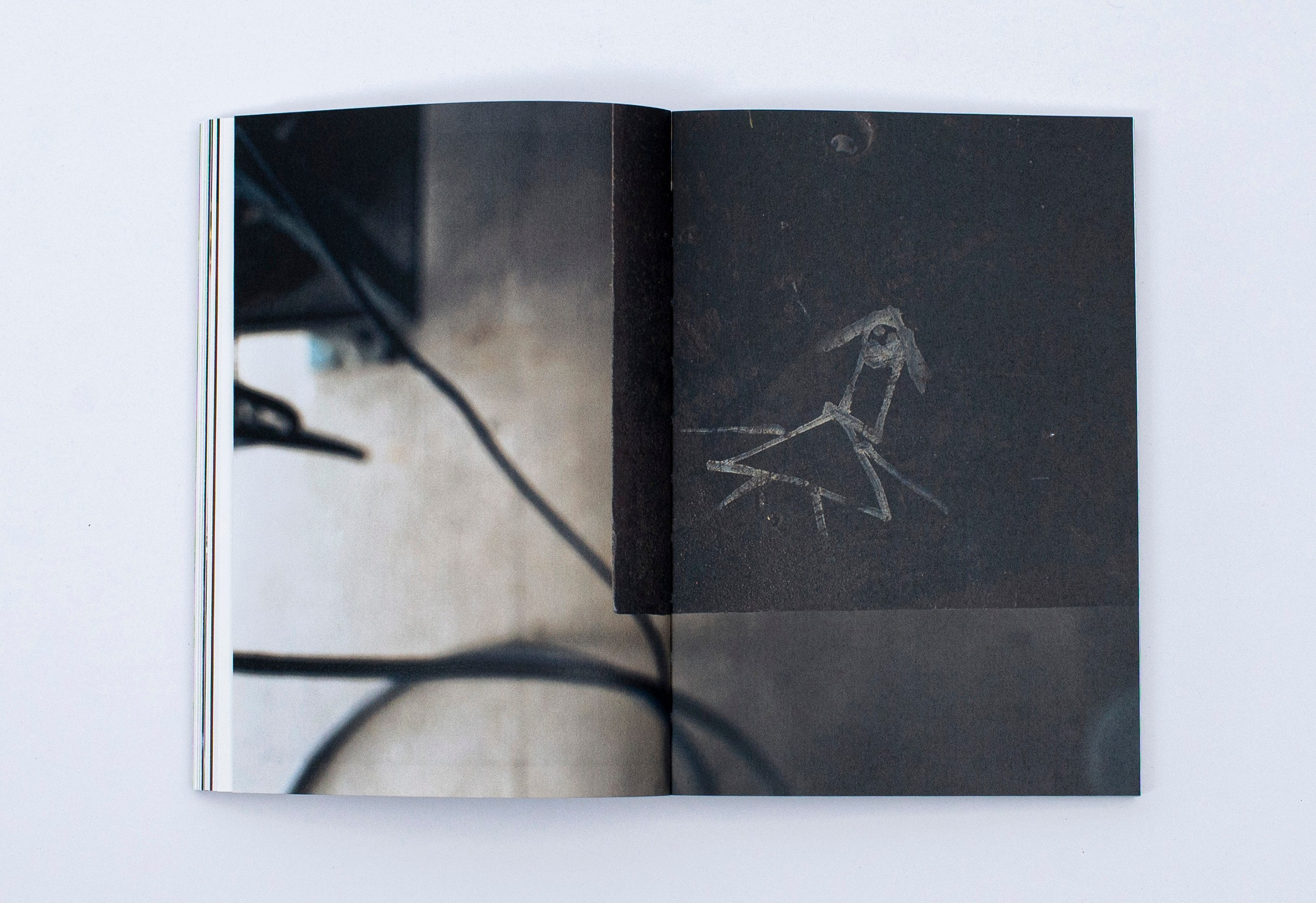 Книга. Фотограф в Москве Алейникова Евгения