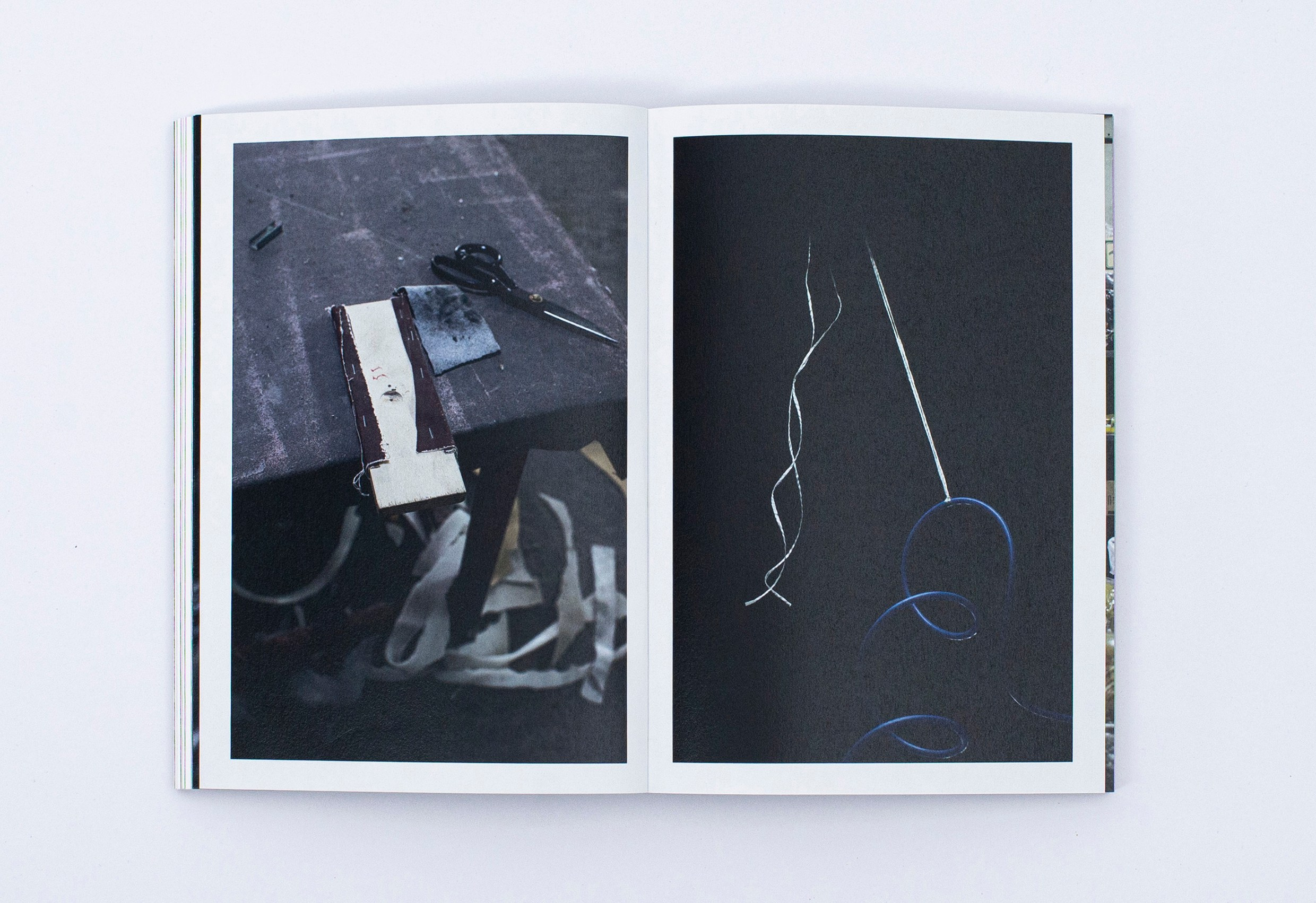 Книга. Фотограф в Москве Алейникова Евгения