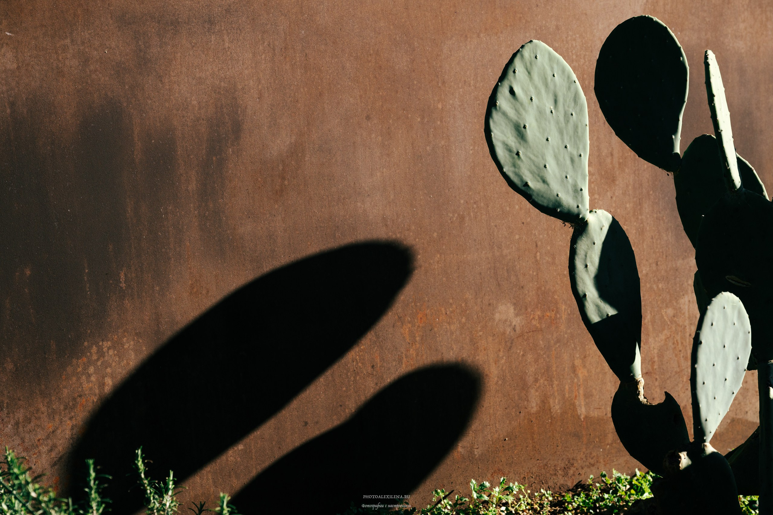 Сирмионе-очаровательный городок на озере Гарда. Авторские стильные фотокартины