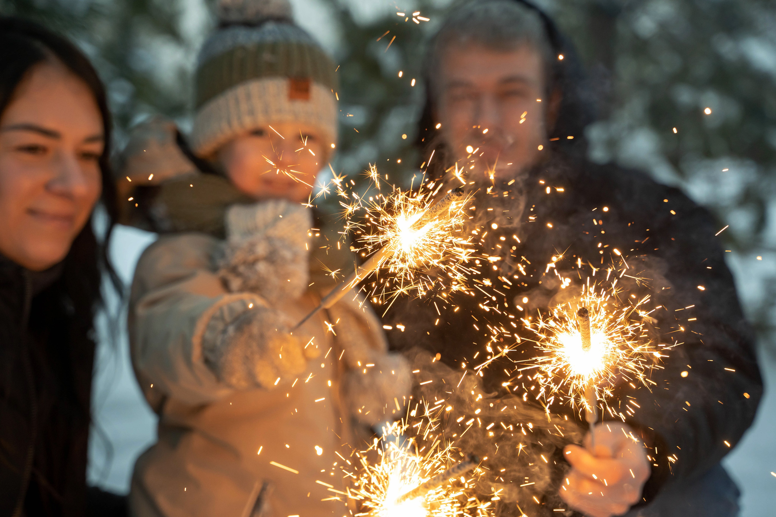 Зимняя прогулка. Главная