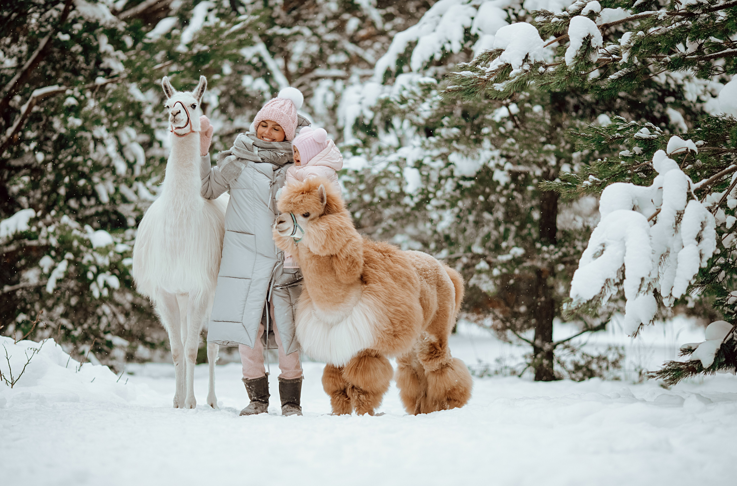 Семейные съемки. Алина Малышева, свадебный и семейный фотограф Москва