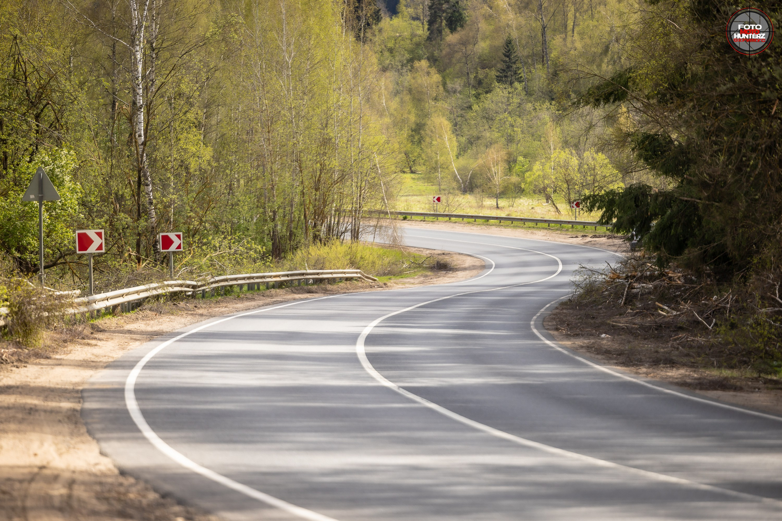 Первое Сафари в 2025 г. на Рогачевском ш. Фотограф Владимир Охрименко