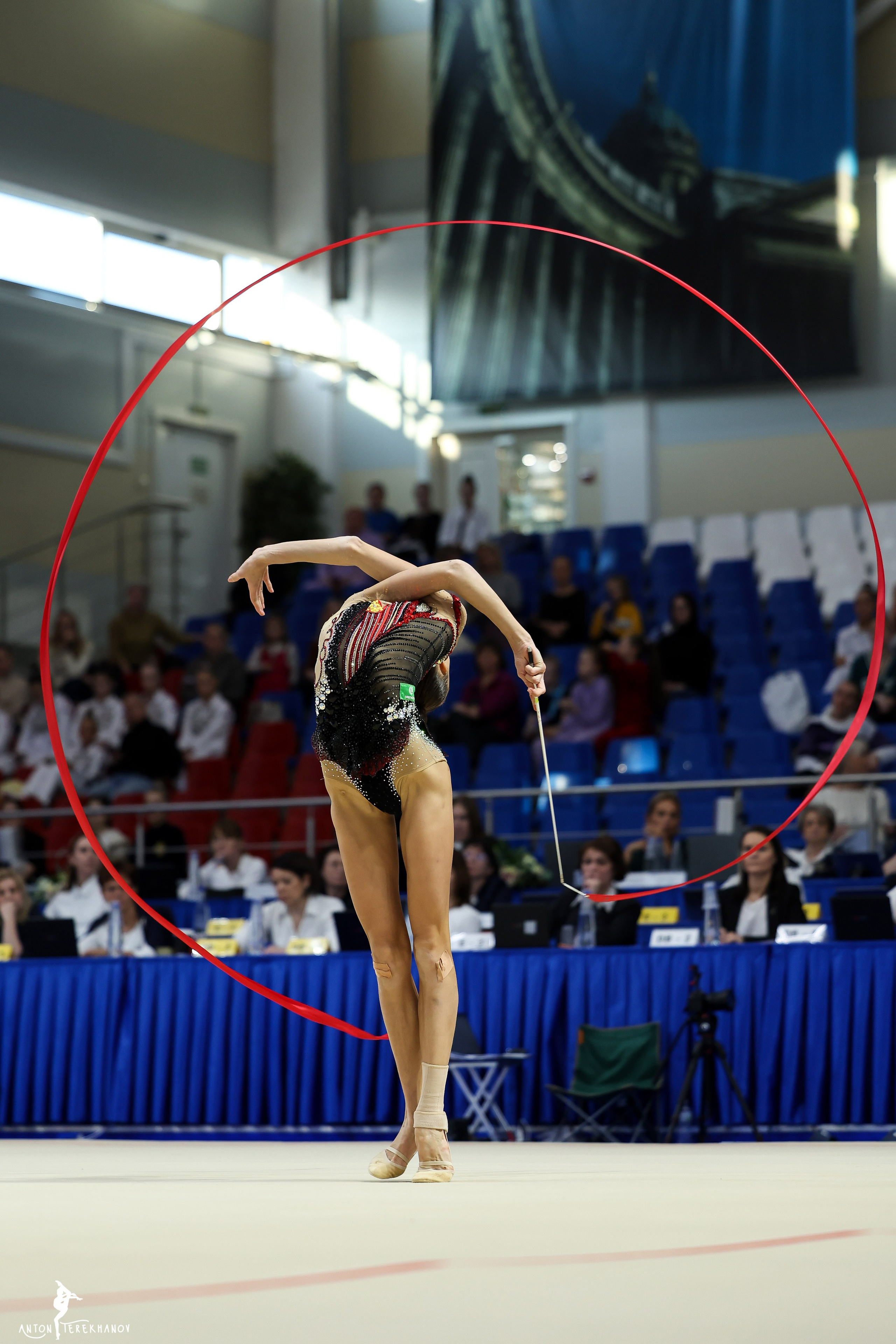 Чемпионат Санкт-Петербурга 2024. Спортивный и репортажный фотограф Антон Тереханов