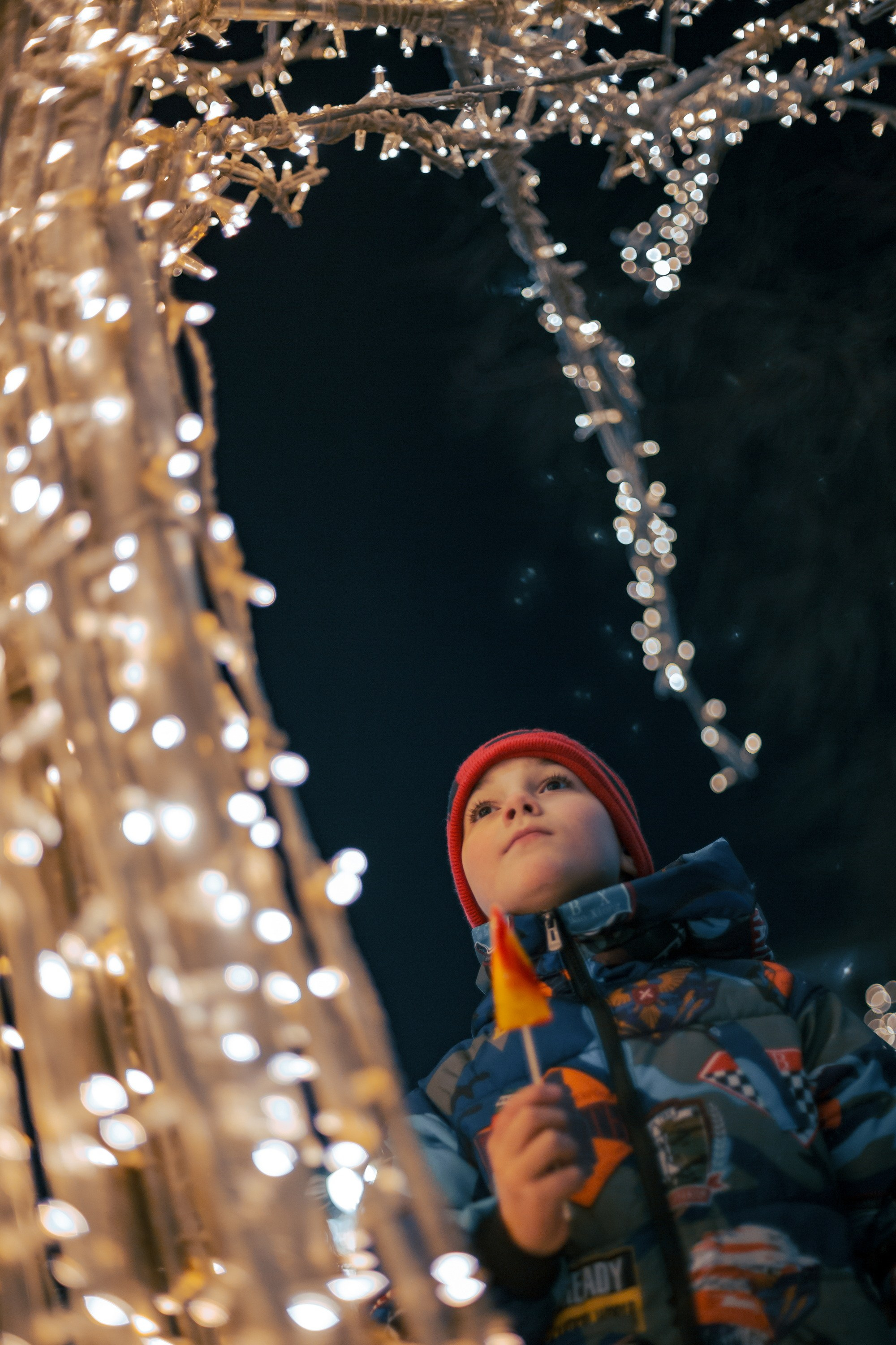 На прогулке