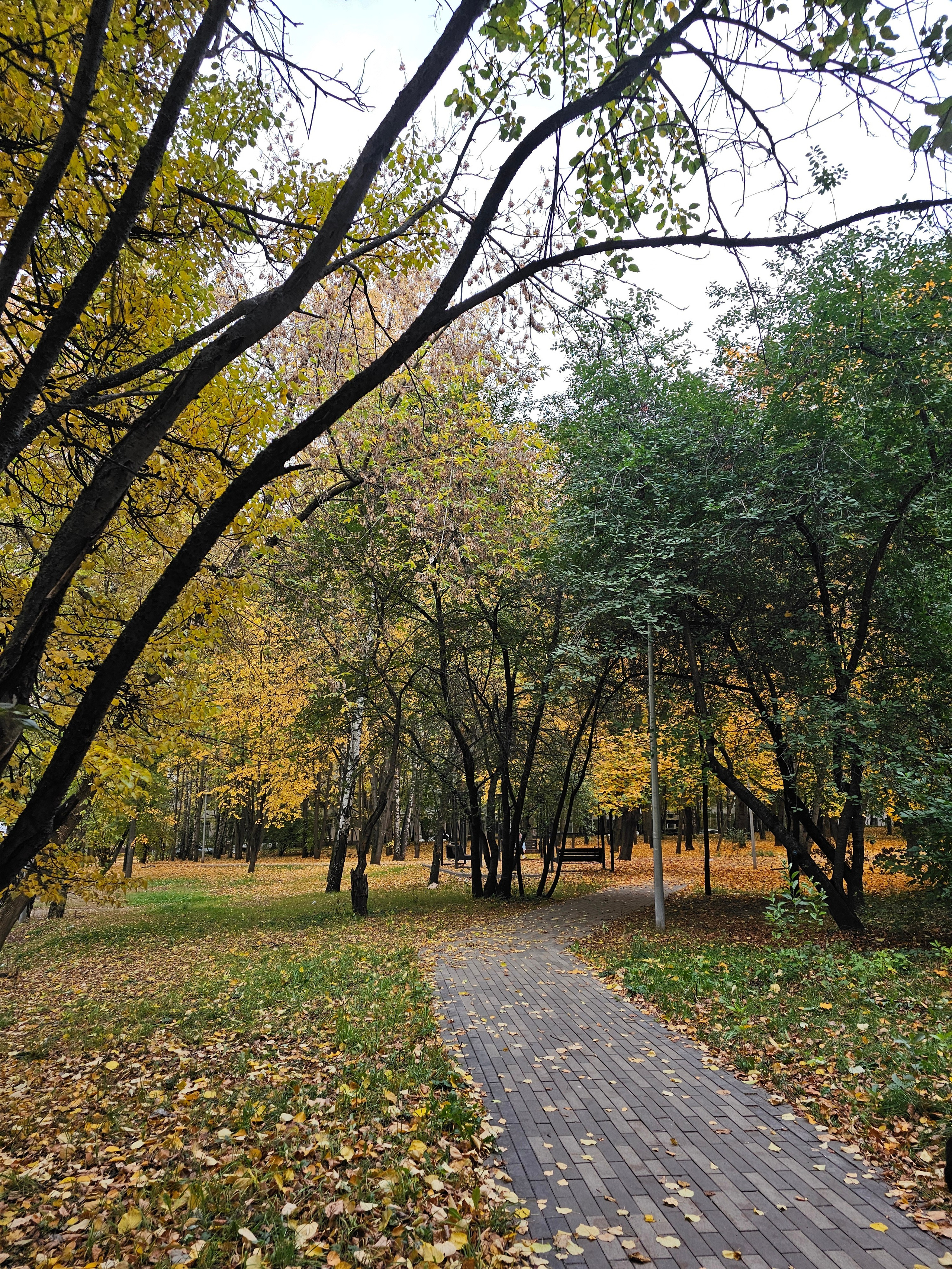 Пешеходная дорожка из плитки, ведущая к скамейке и фонарю в глубине парка. Деревья частично зеленые и ярко-желтые. Земля покрыта желтыми и коричневыми листьями. Дорожка в парке, ведущая вдаль, окруженная деревьями с осенней (желтой) и еще летней (зеленой) листвой. Опавшие листья на газоне.