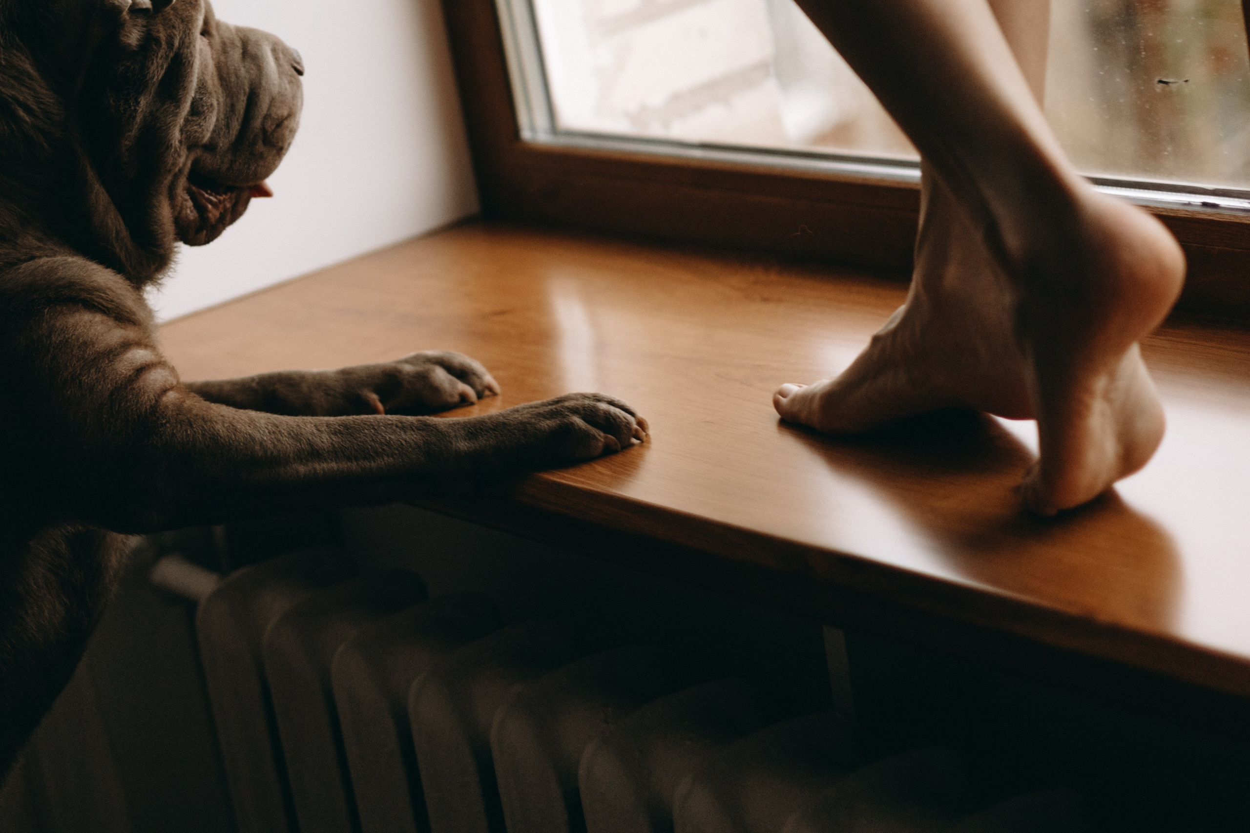 Ульяна и Вагнер. Фотограф — Анималист | Санкт-Петербург