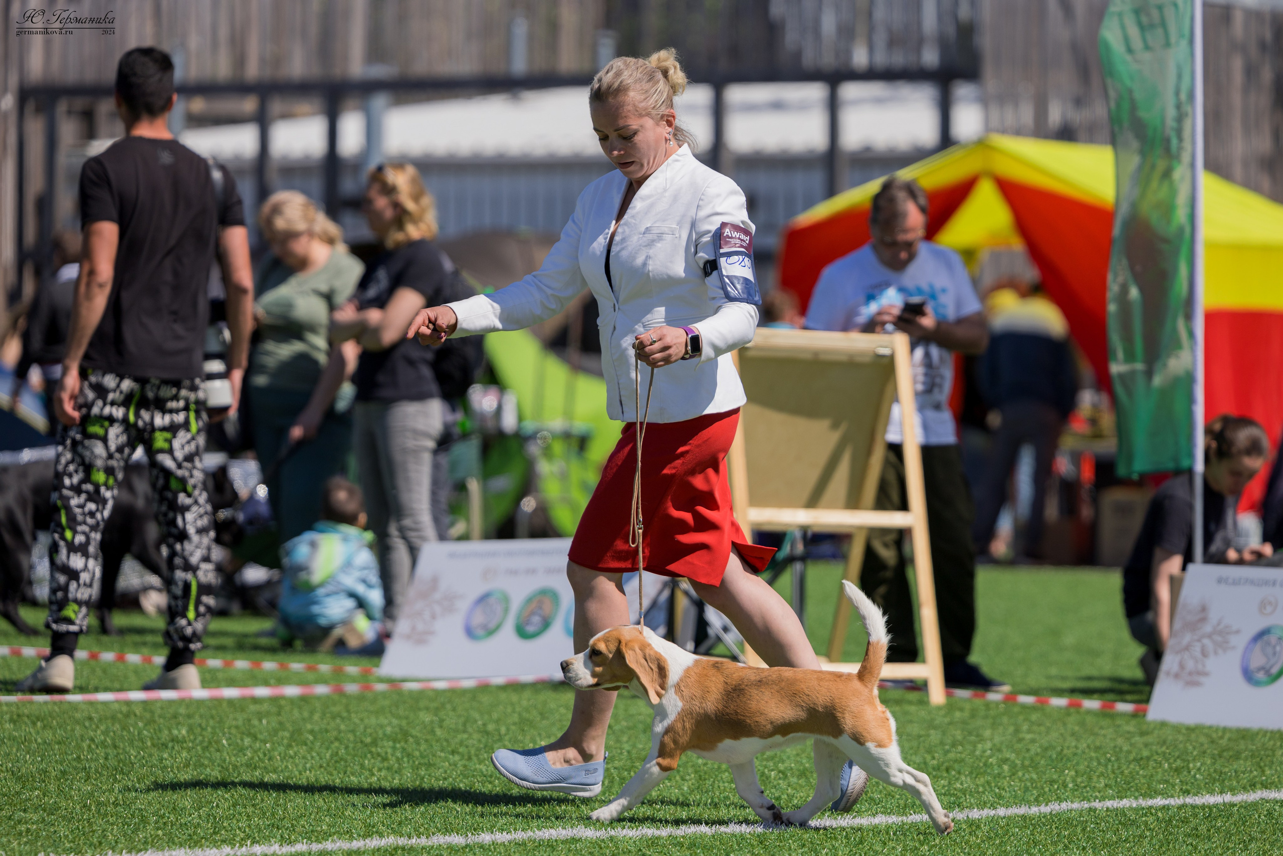 Суздаль 18-19.05.2024. Фотограф-анималист Юлия Германика