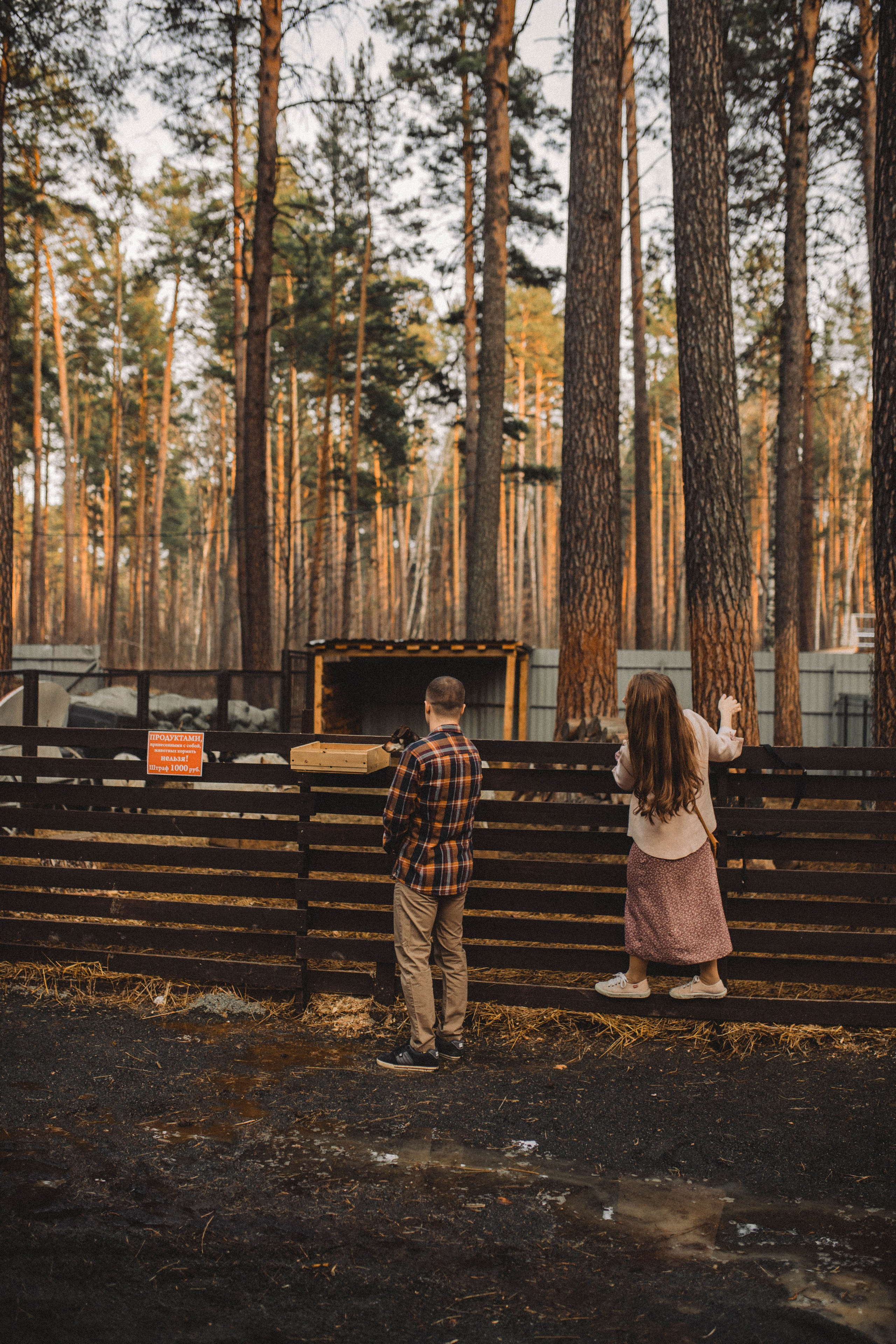 Предсвадебное Love Story | Максим & Анастасия. Свадебный фотограф Новосибирск