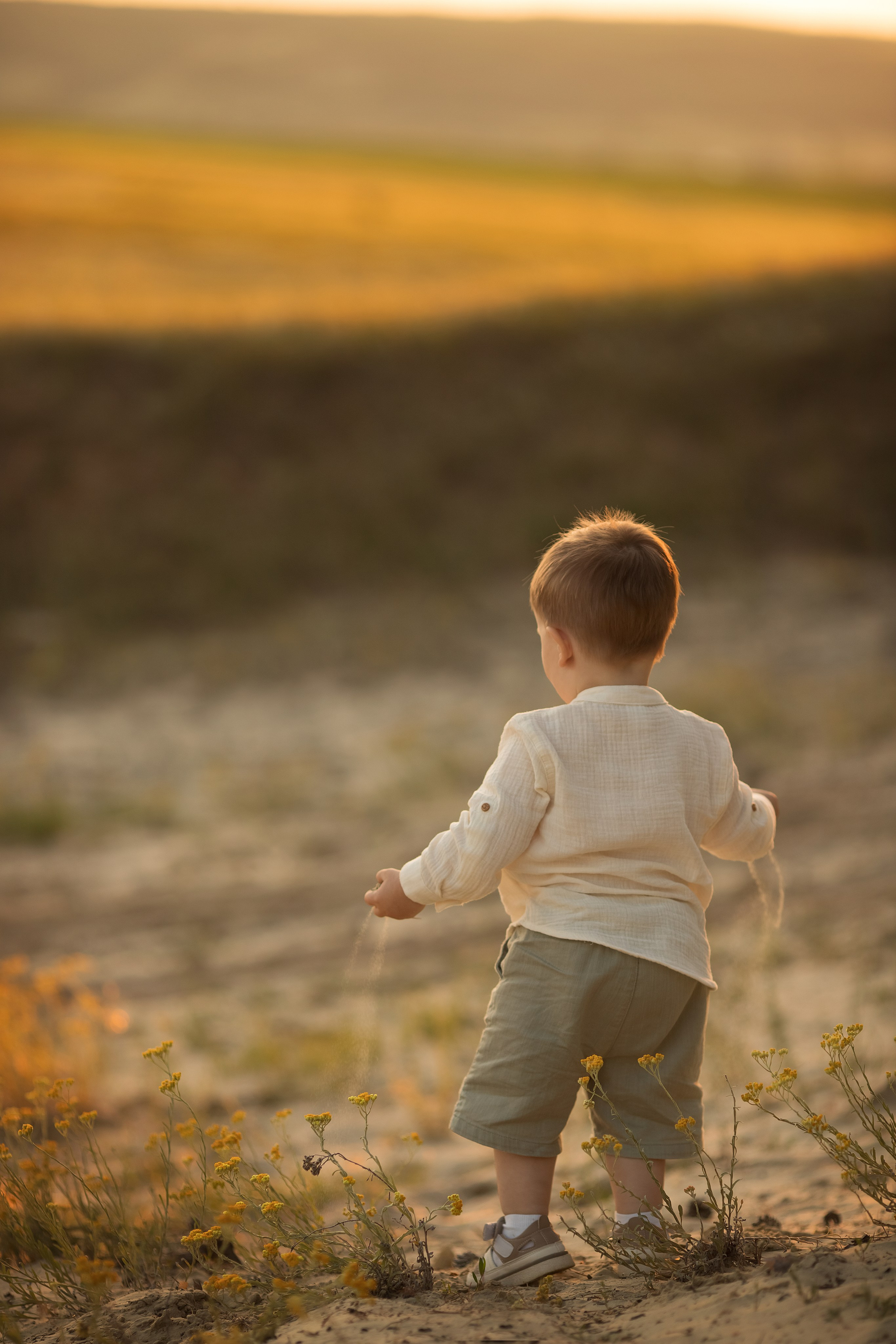 Солнечный лес. Семейный и детский фотограф в Саратове Полина Коткина