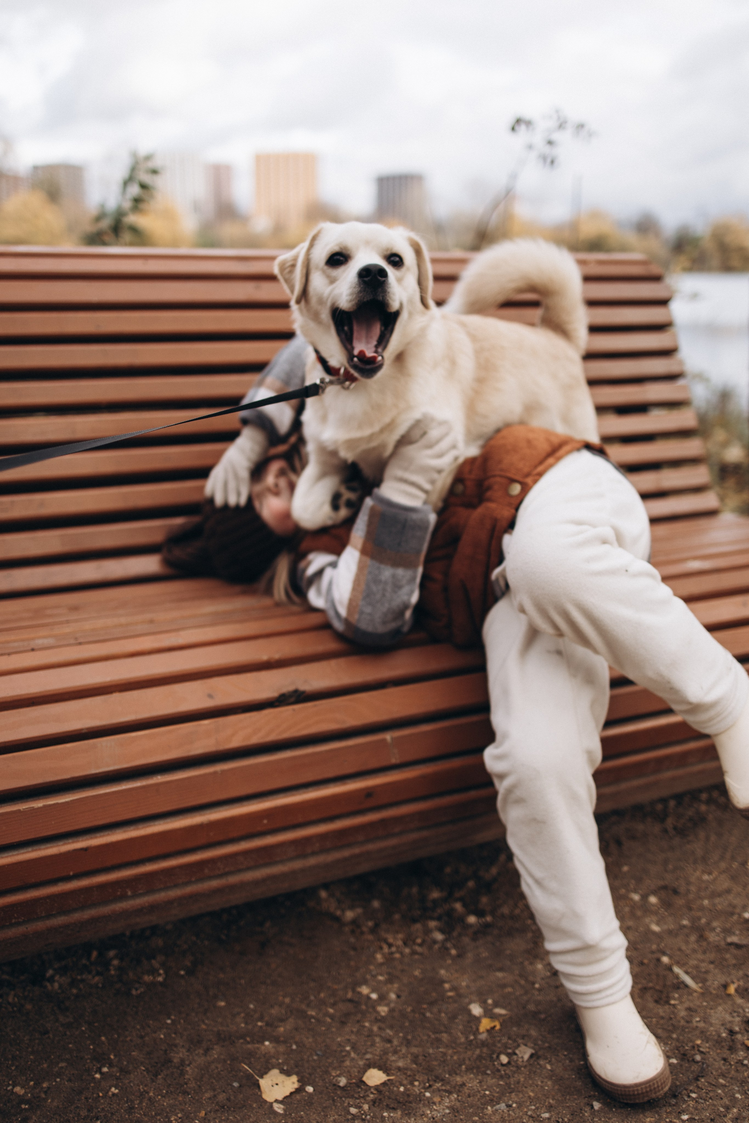 Осенняя прогулка в парке. Женя, Таня, Лера и Сэм. Семейный и детский фотограф в Москве Маргарита Сереброва