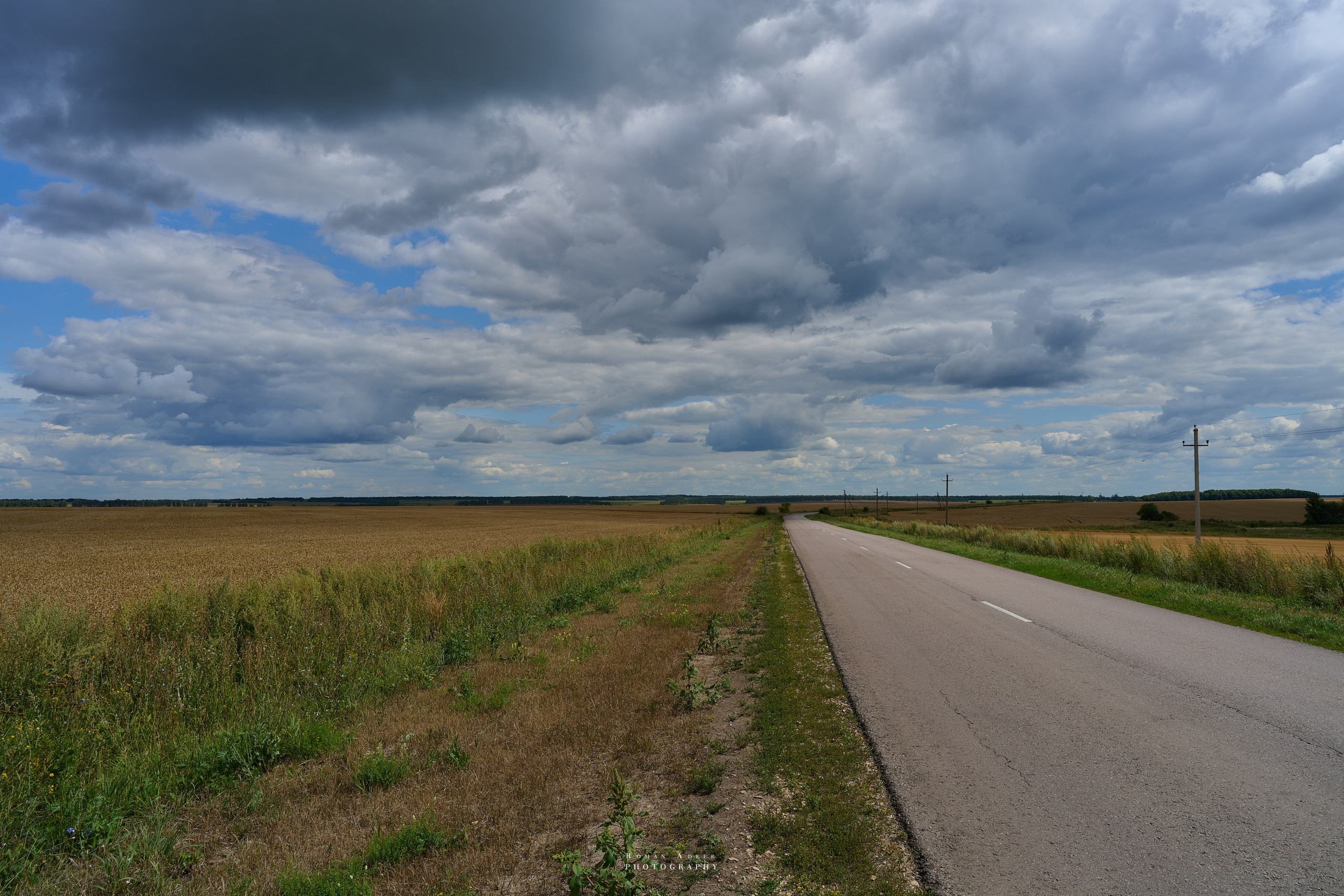 Воронеж. Август 2024. Фотограф Роман Адлер