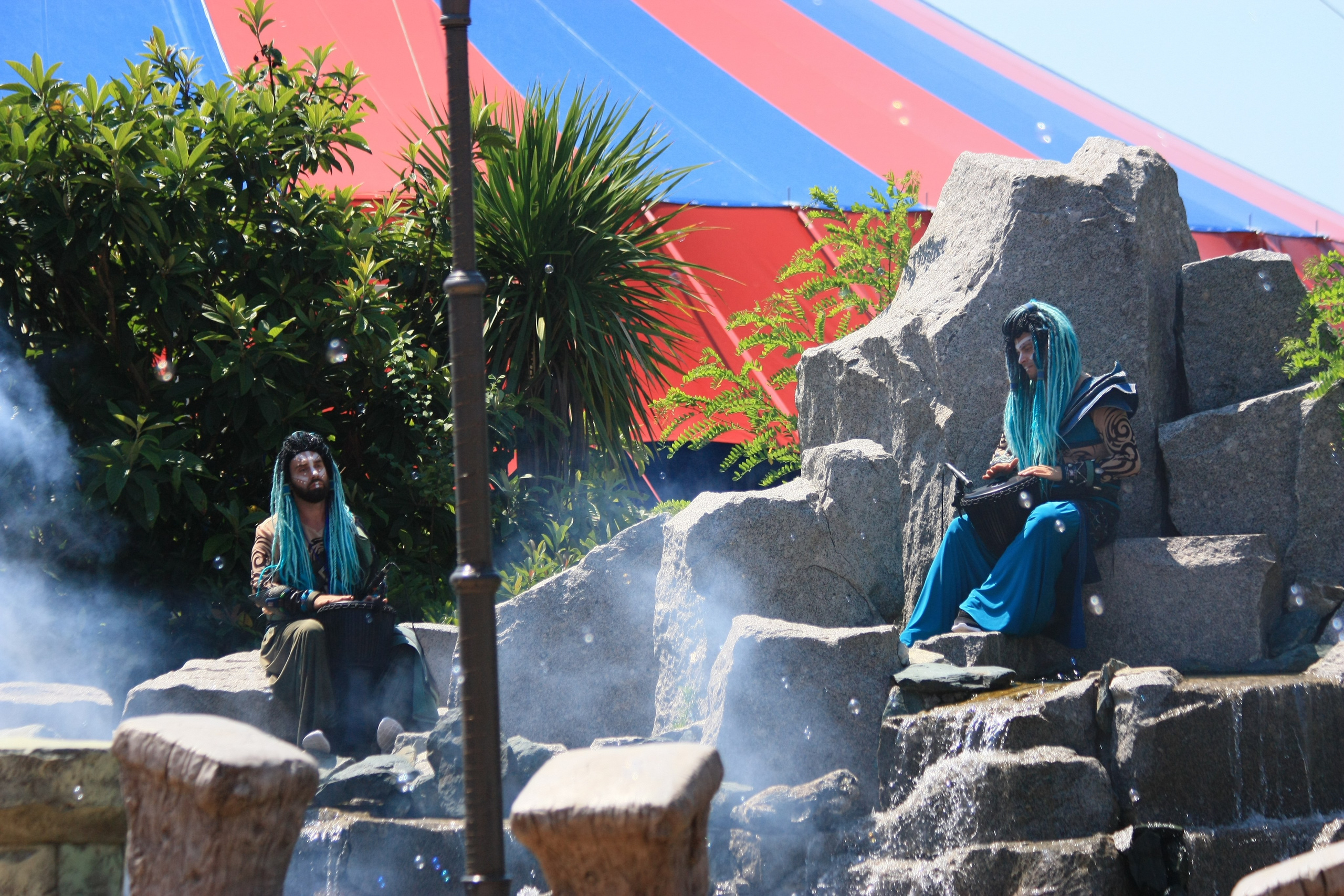 Первые кадры. Сочи — парк. Фотограф Роман Адлер