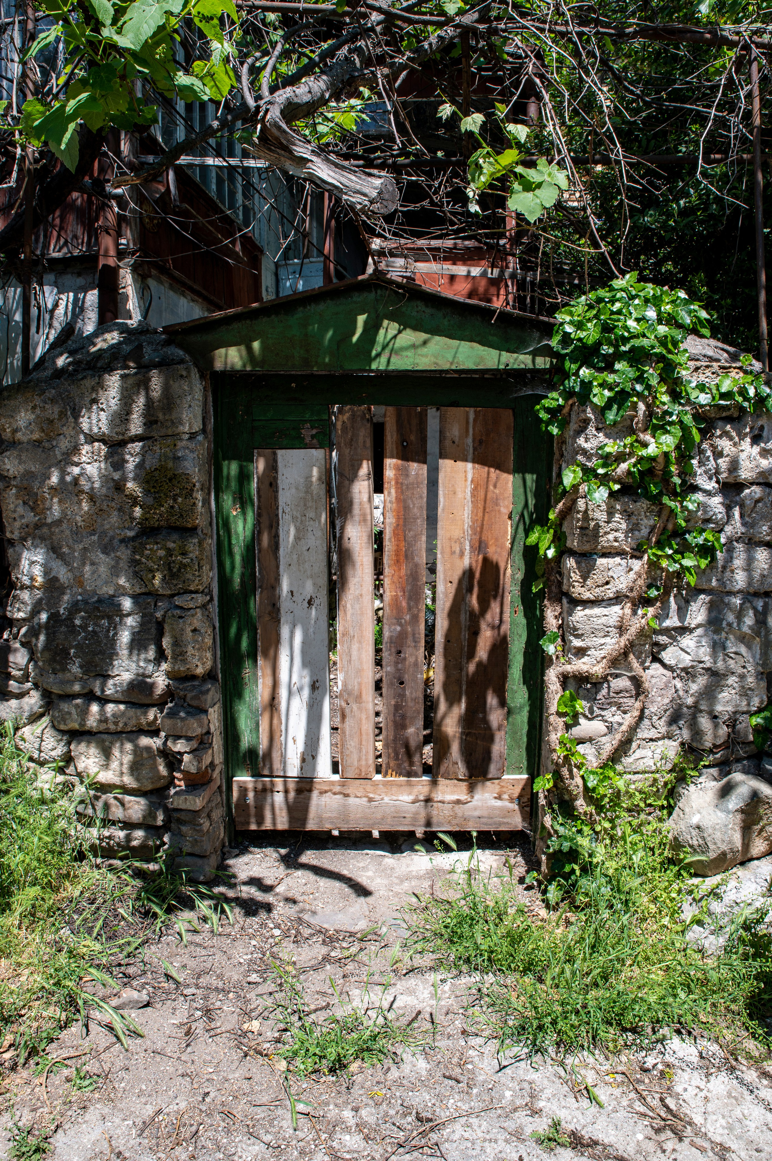 Крым май 2022. Фотограф Роман Адлер