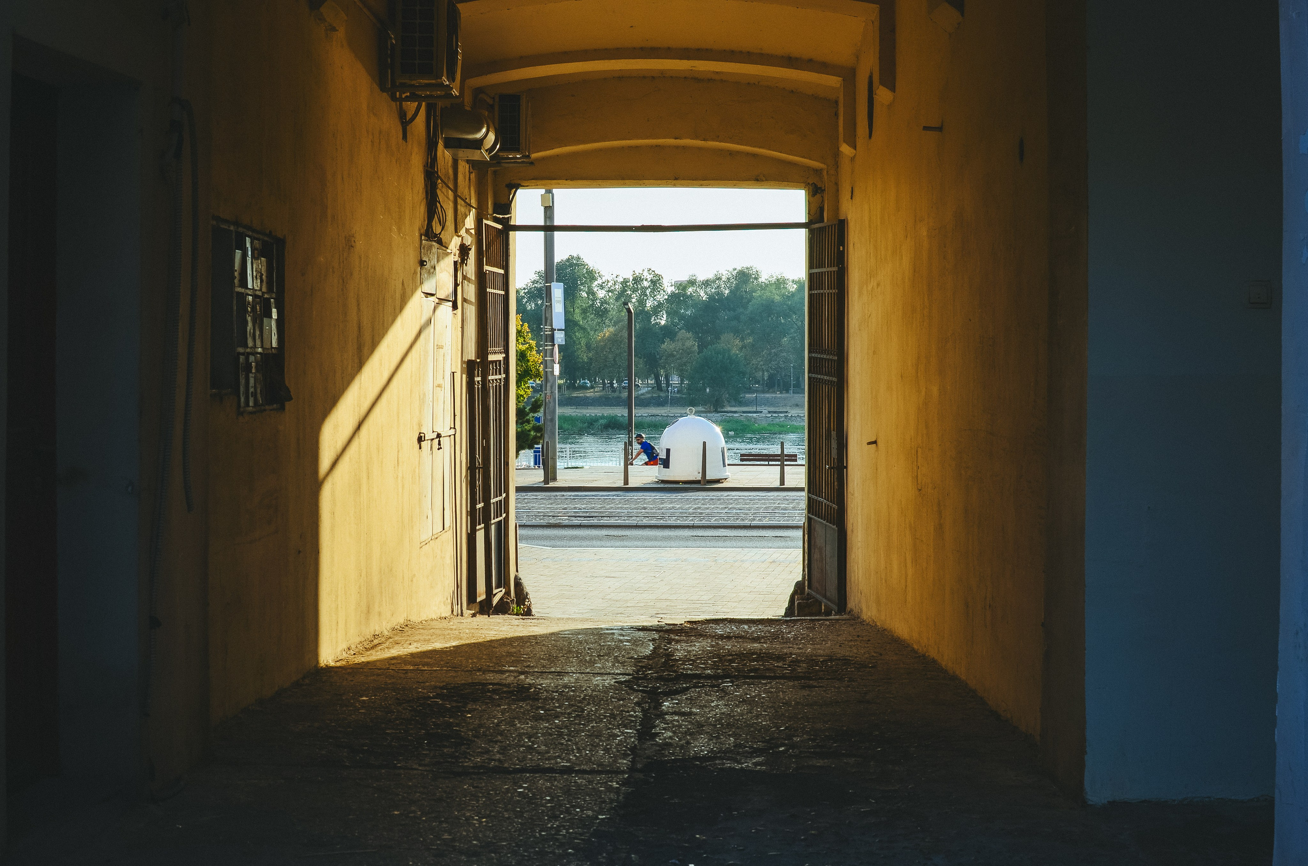 Charity tattoo BD. Event photographer Alena Iurchenko