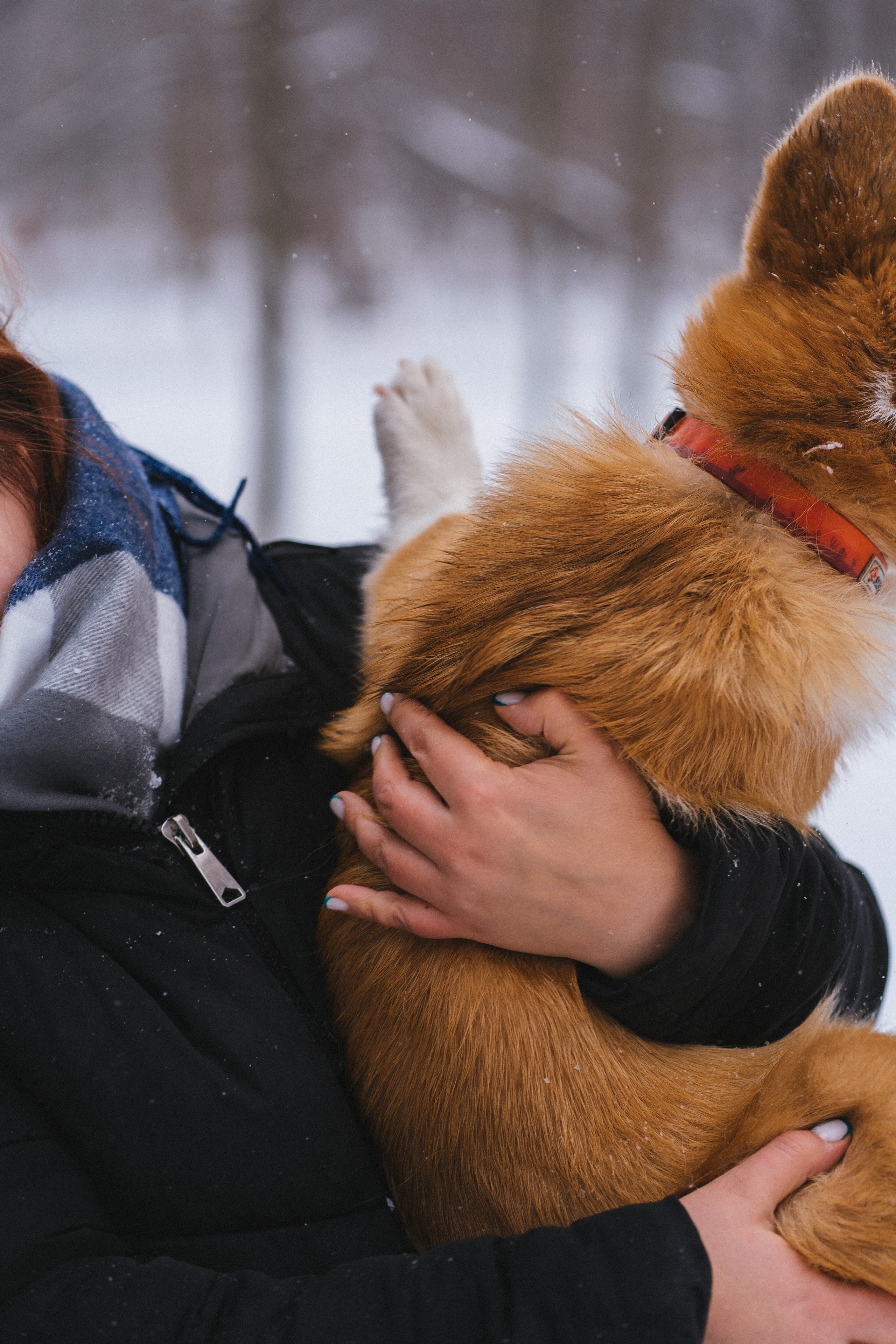 Агата и Лайк. Свадебный фотограф в Москве Анна Полушина