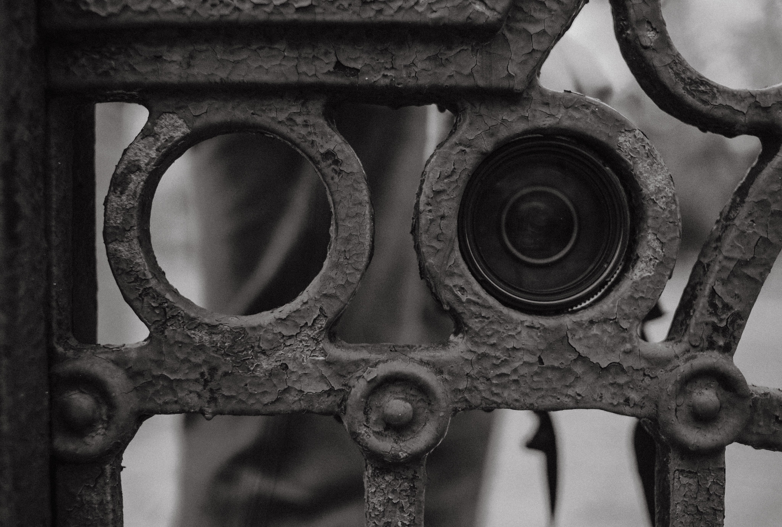 Фотограф Алексей Закусов