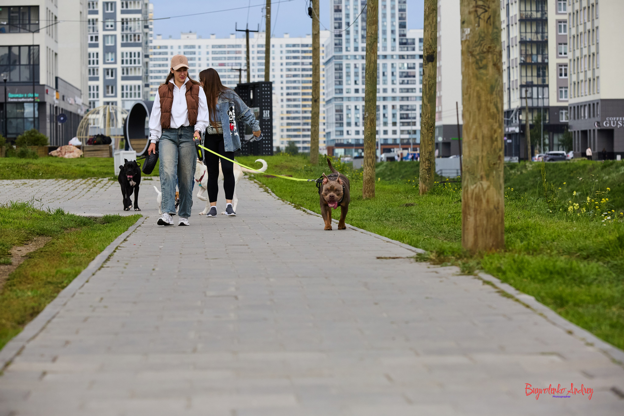 Проект фотопрогулка с хвостиком. Buyvolenko Andrey