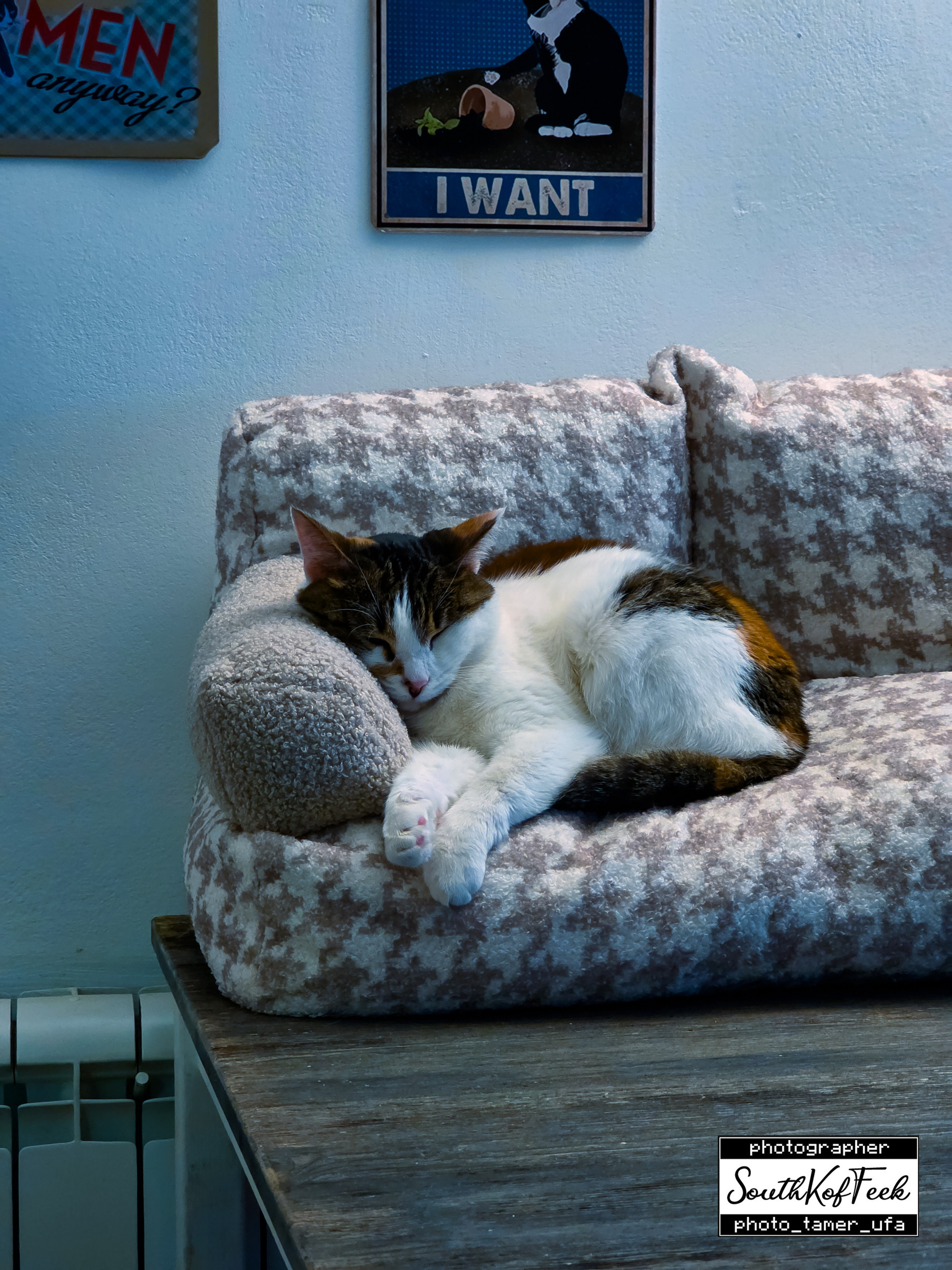 Фотосессии животных. Photo Tamer Ufa