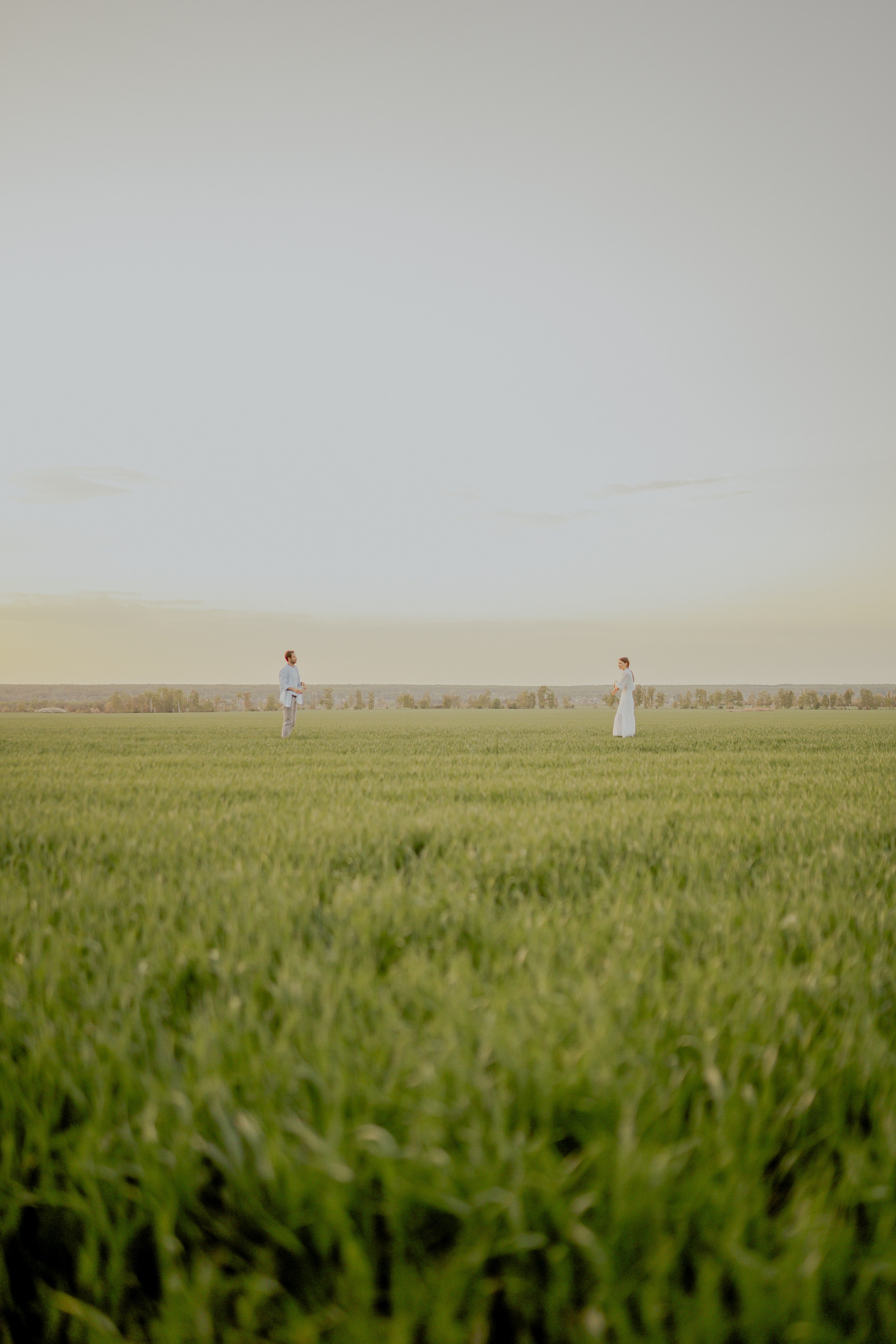 Поле. Фотограф Мария Зайчик