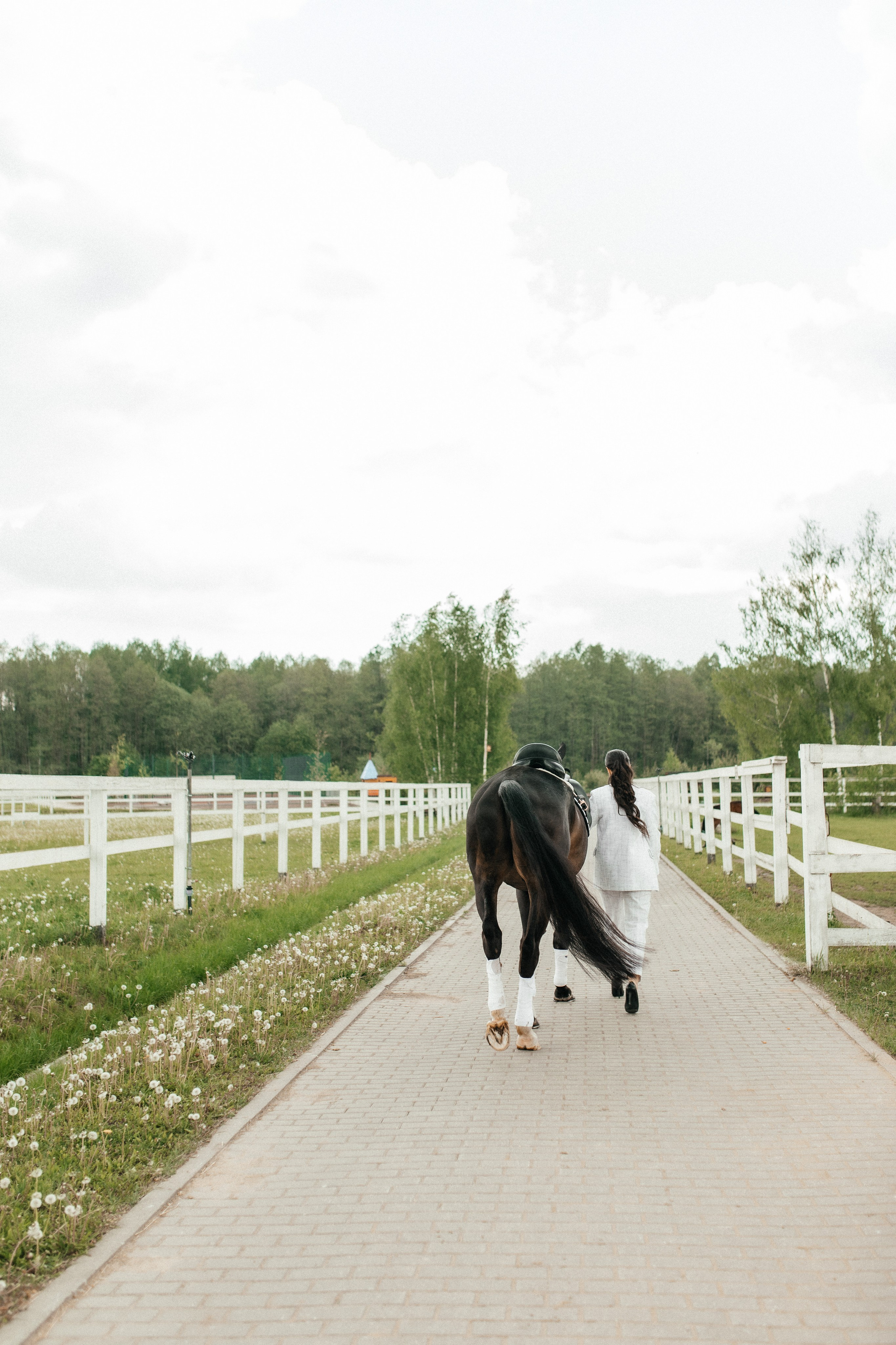 Конная прогулка. Тома и Кеша. Профессиональный фотограф, Москва |Видное Елена Елизарова