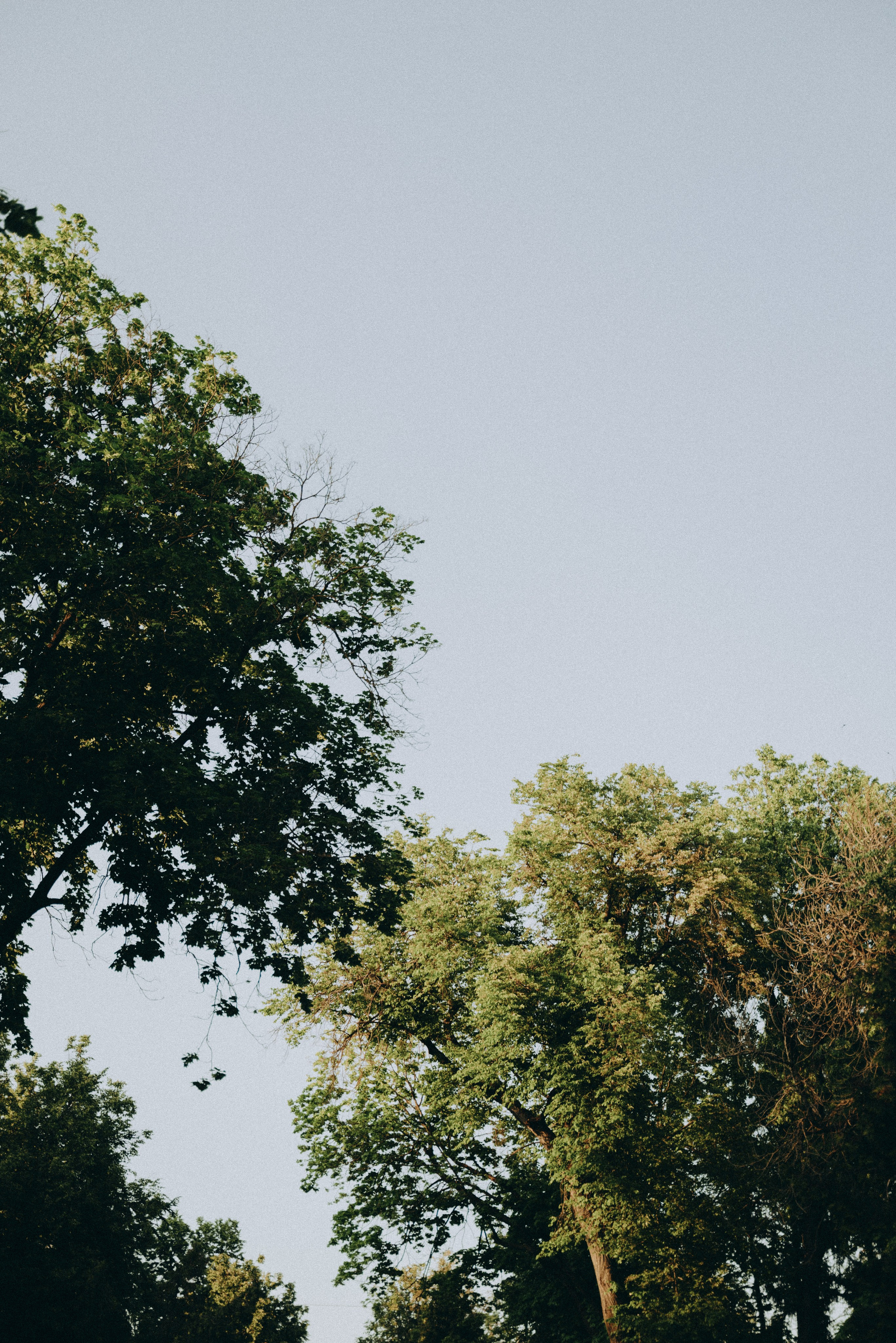 Там, где любовь. Свадебный и портретный фотограф в Брянске и Москве Алина Химушкина
