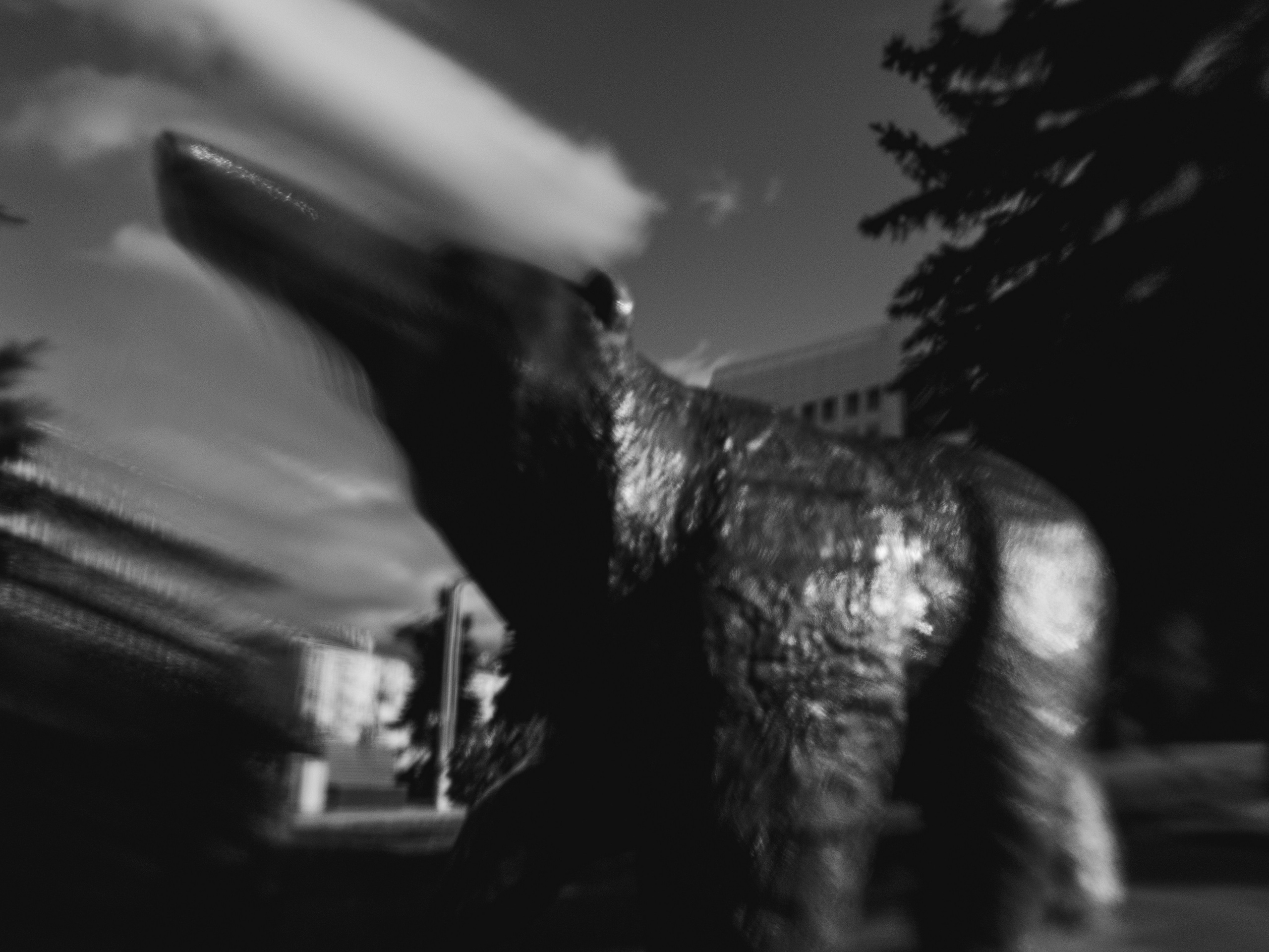 Стрит фотография Пермь