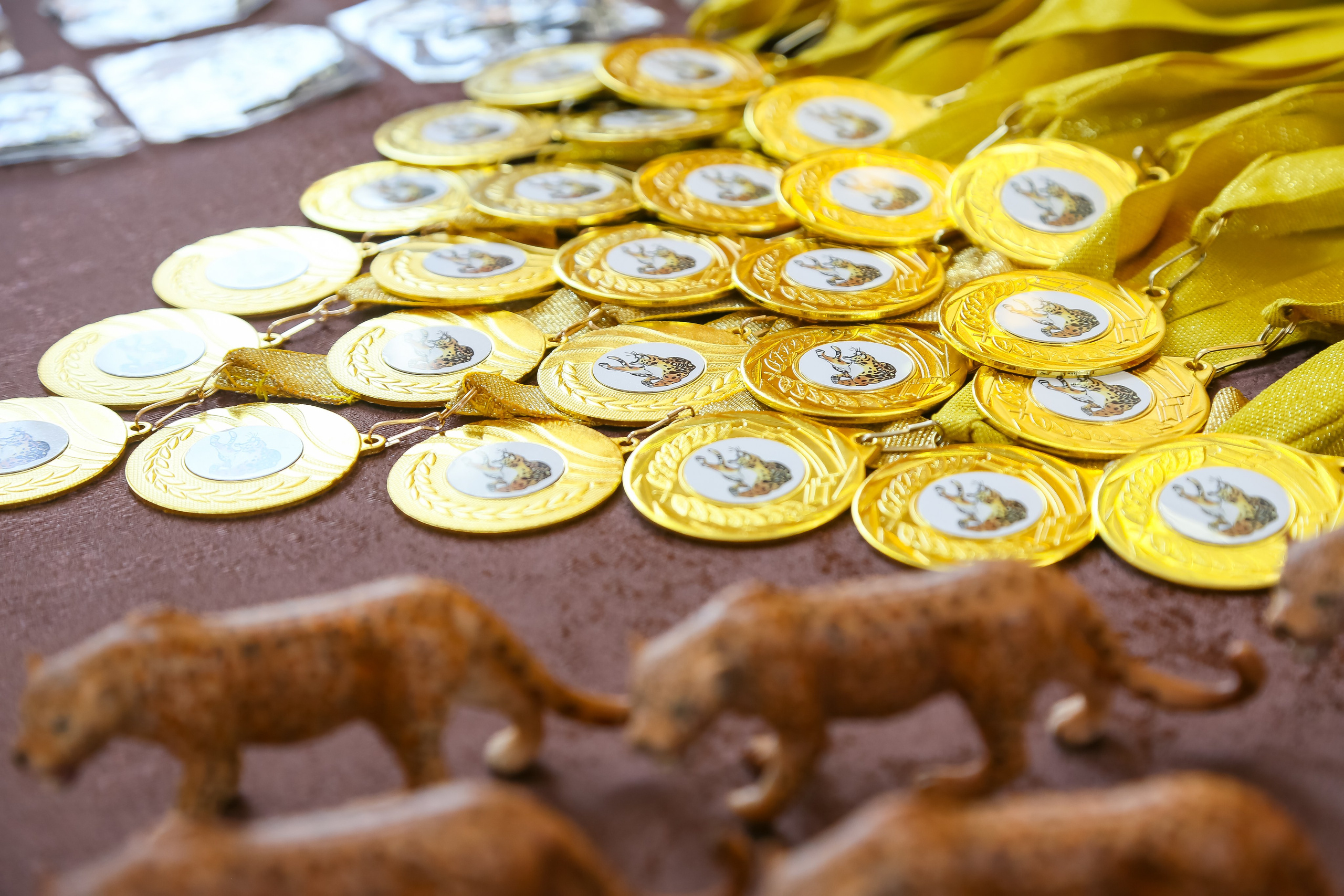 НАГРАЖДЕНИЕ ТХЭКВАНДО. Главная