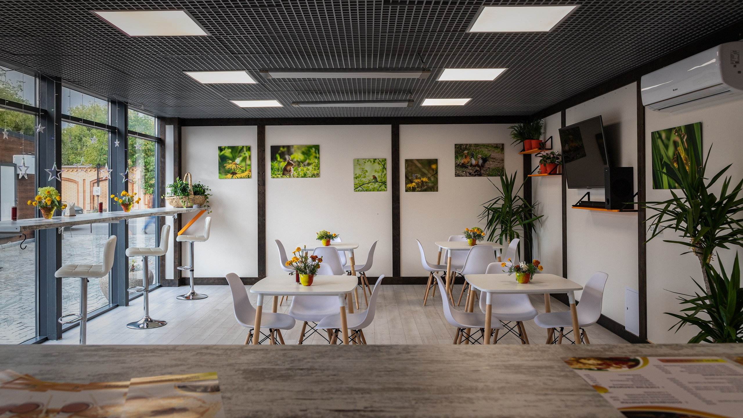 Достижения. Константин Дем | Фотограф