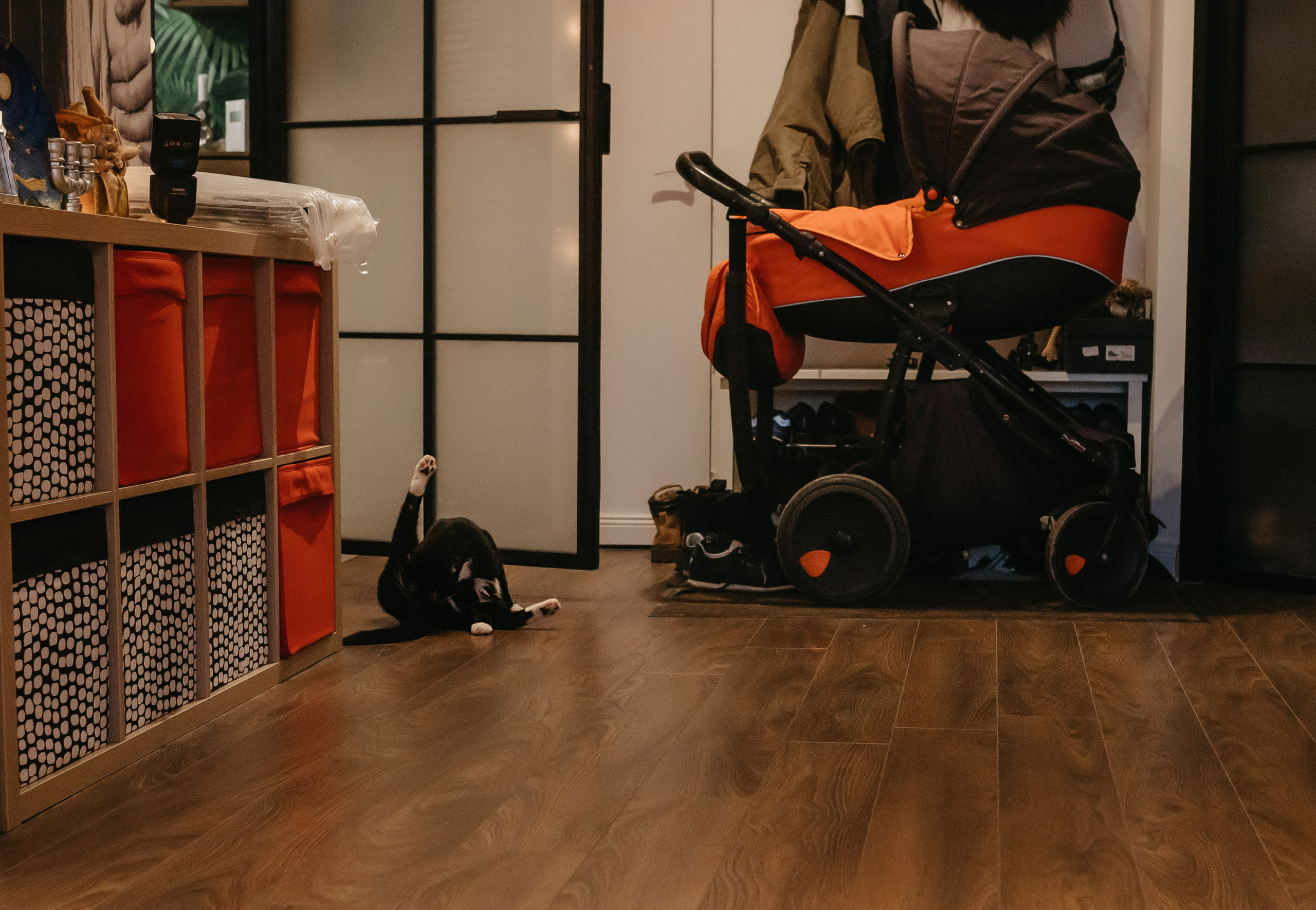 Домашний «Хоба». Свадебный и семейный фотограф в Санкт-Петербурге Игорь Бабенко