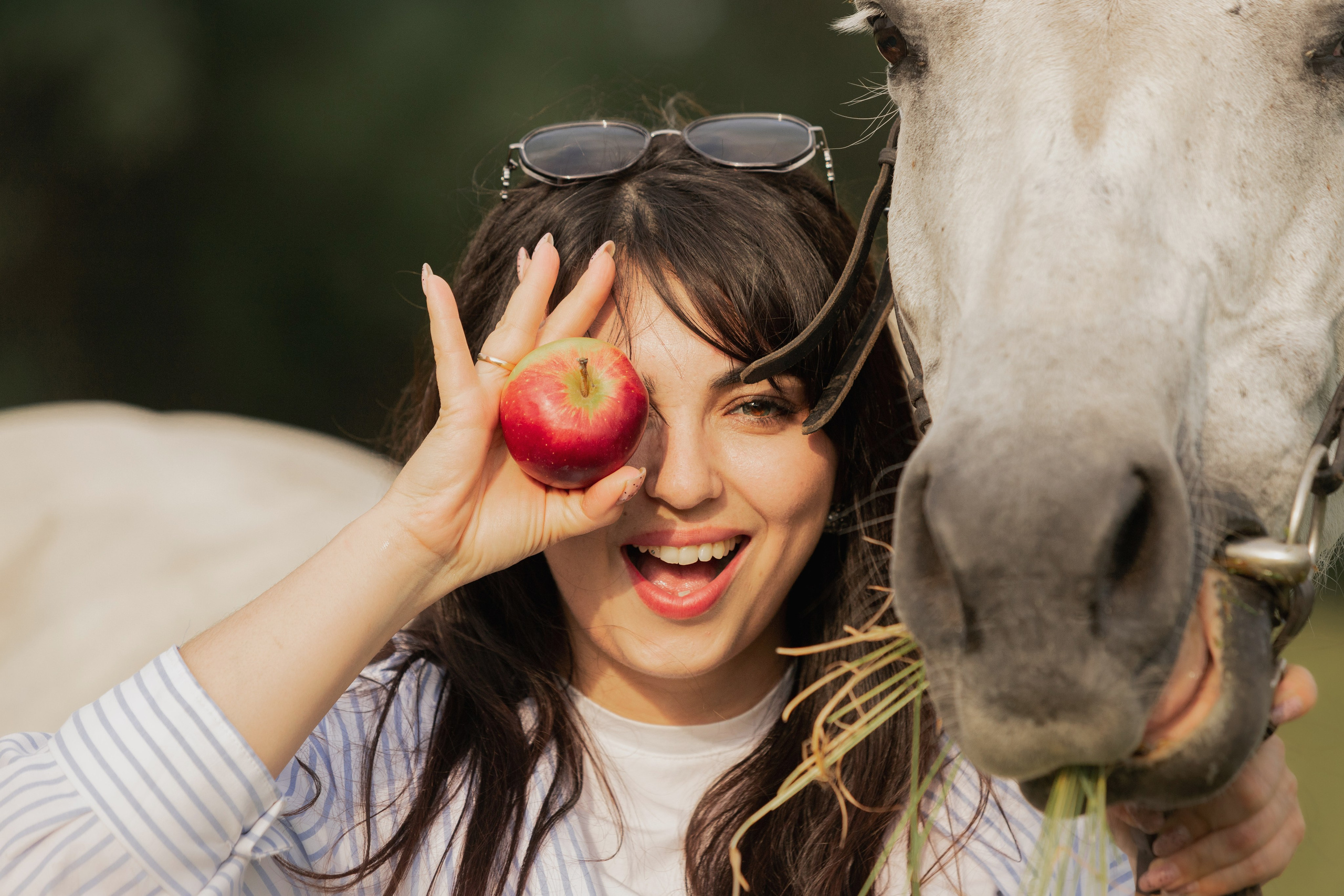 Человек и Лошадь. Главная