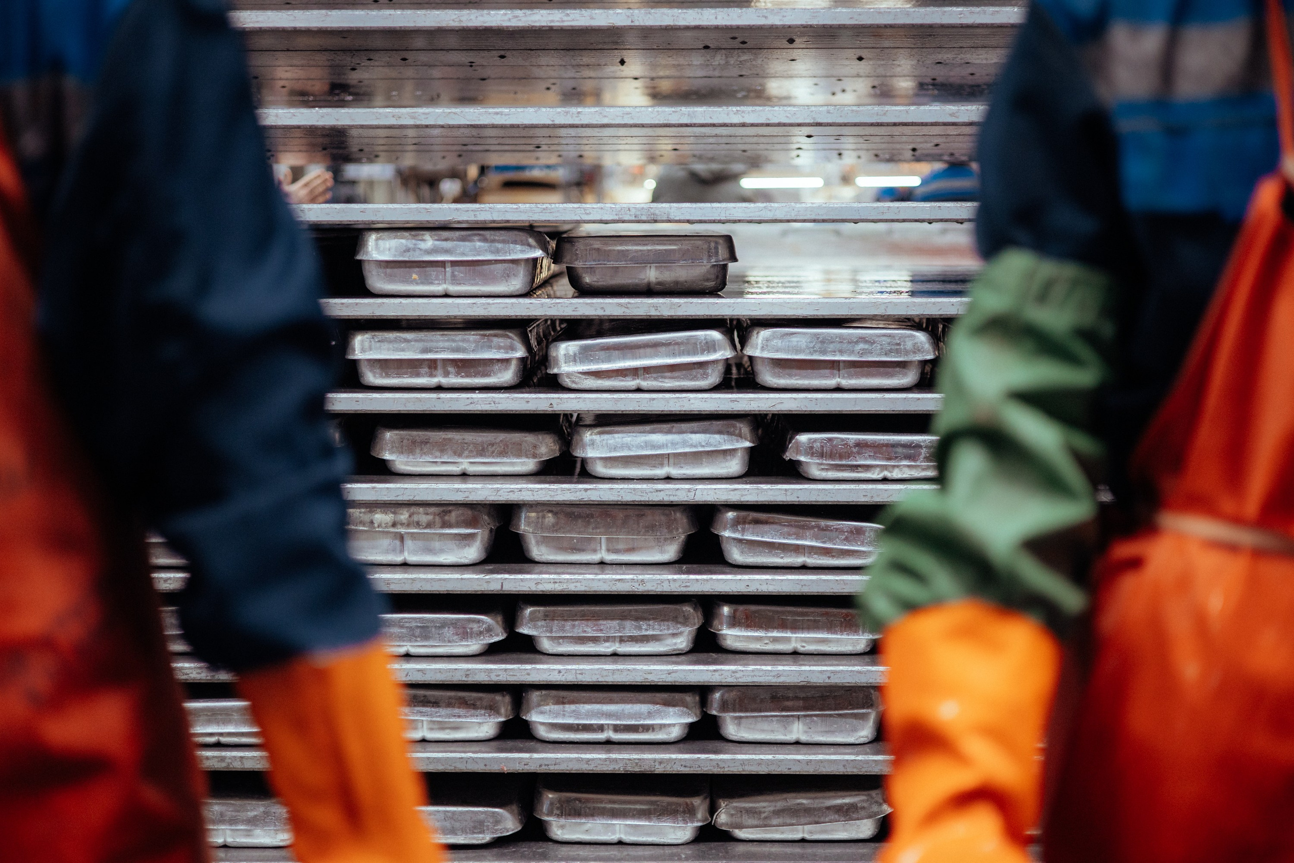 Ооо «лойд-фиш» | камчатка-2025