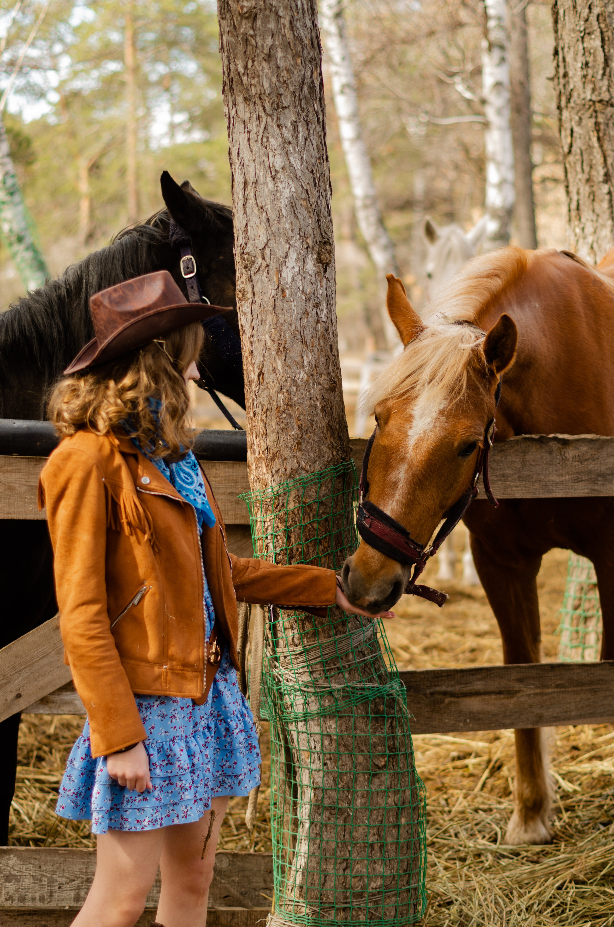 Ковбойская девчонка. Фотограф Марина Доглядная Челябинск фотосессии с лошадьми, мотоциклами