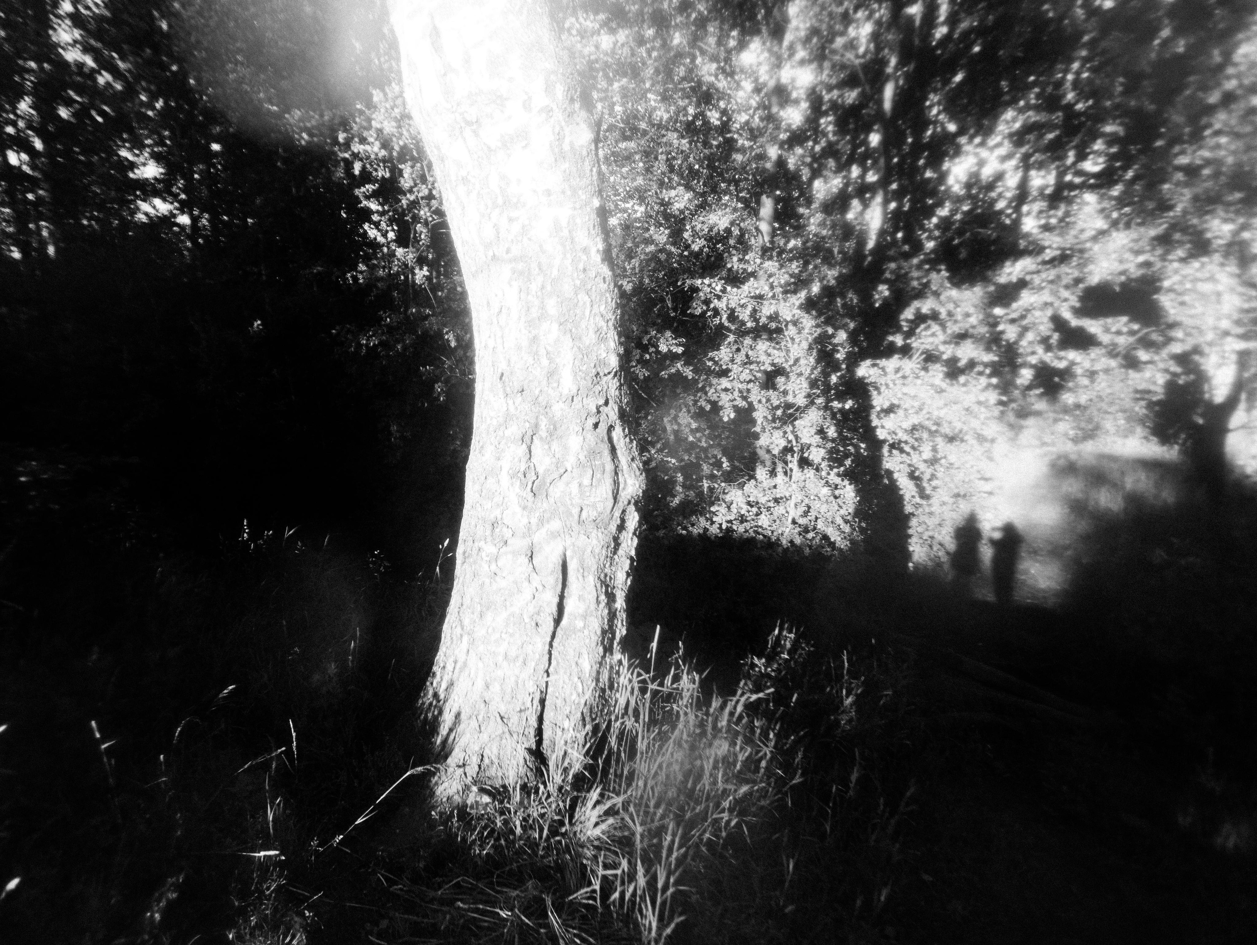 About nothing. Фотограф Мария Немм