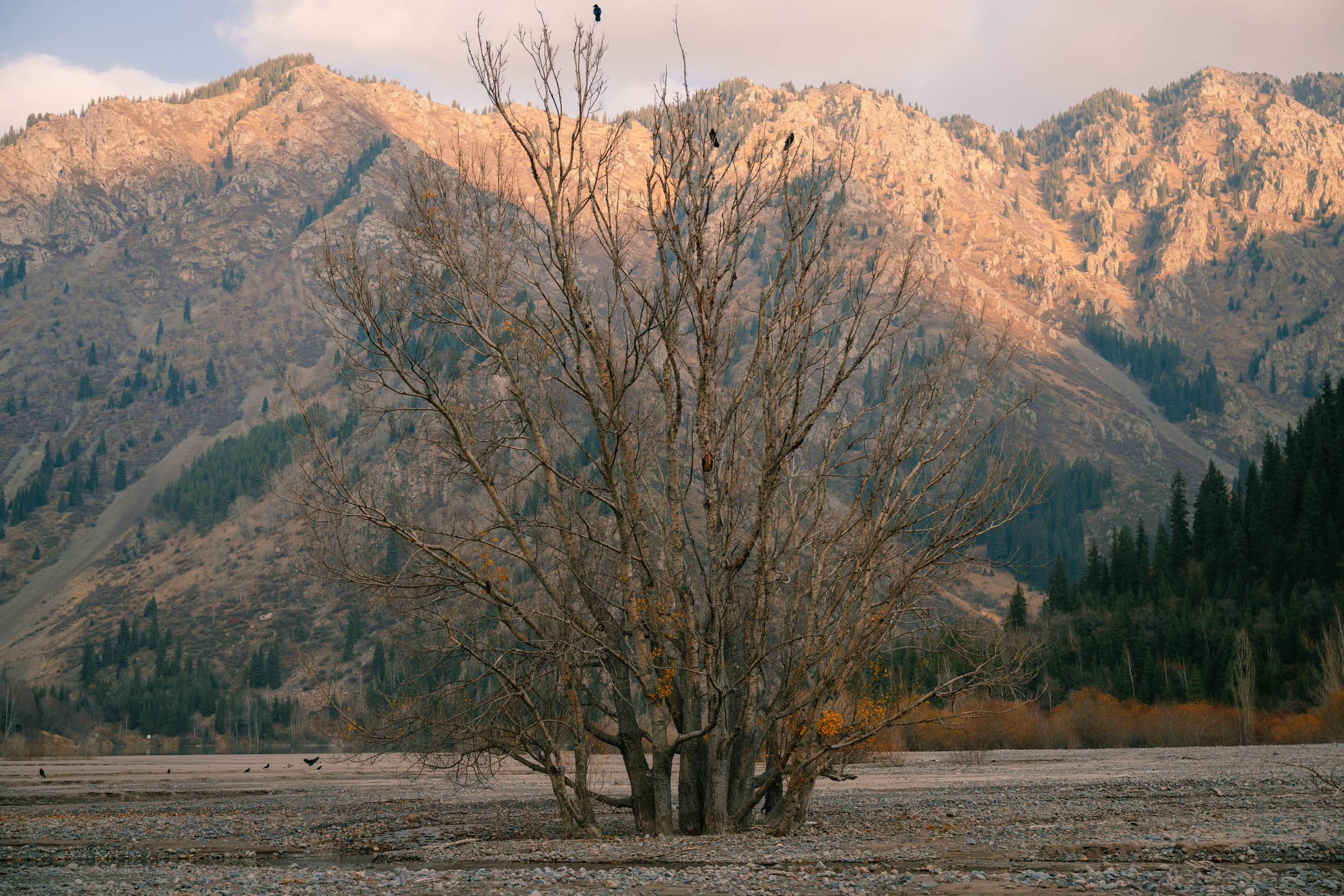 Озеро Иссык, осень 2025. Фотограф в Алматы — Алексей Коньков | Репортаж, свадьбы, портреты