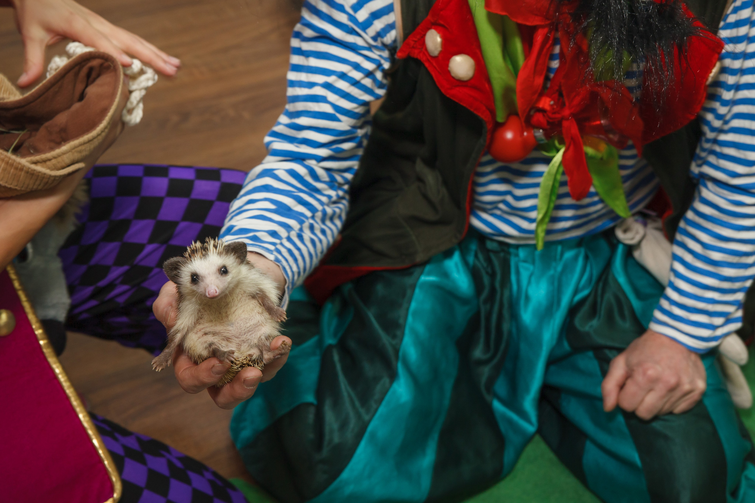 День рождения Егора, 6 лет, «Мультяшка». Свадебный и репортажный фотограф (Москва, Королев и другие)